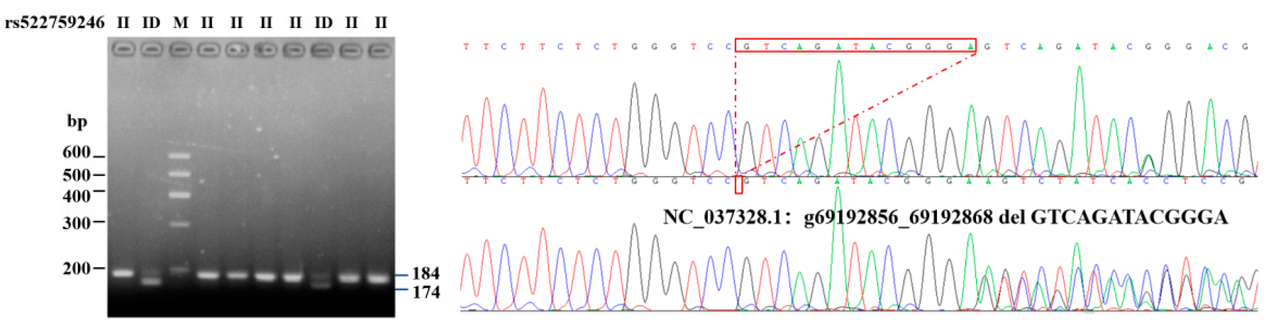 Animals 11 01579 g001 Animals 11 01579 g001