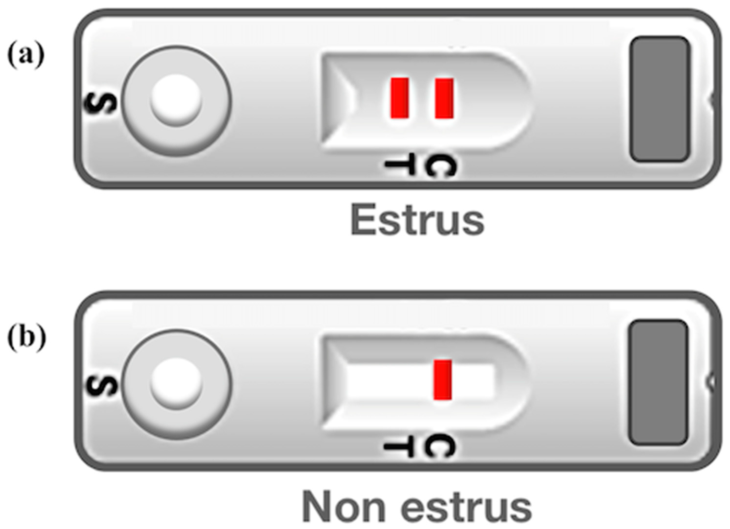 Animals 11 01582 g001