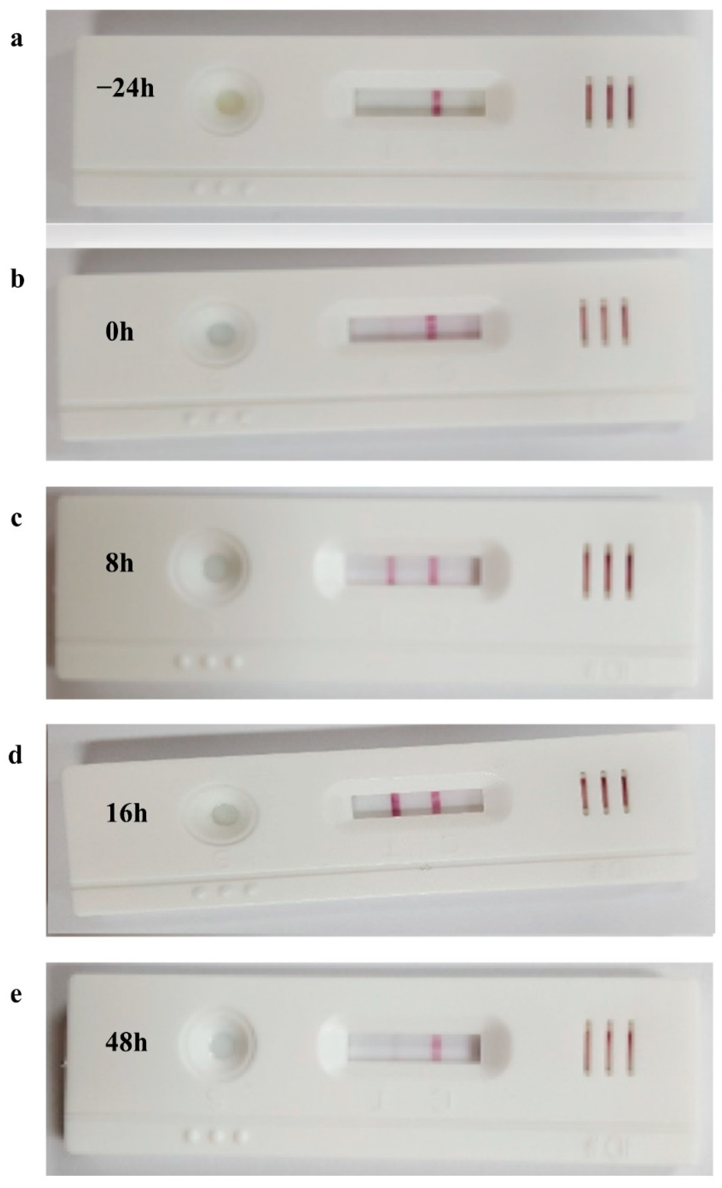 Animals 11 01582 g003