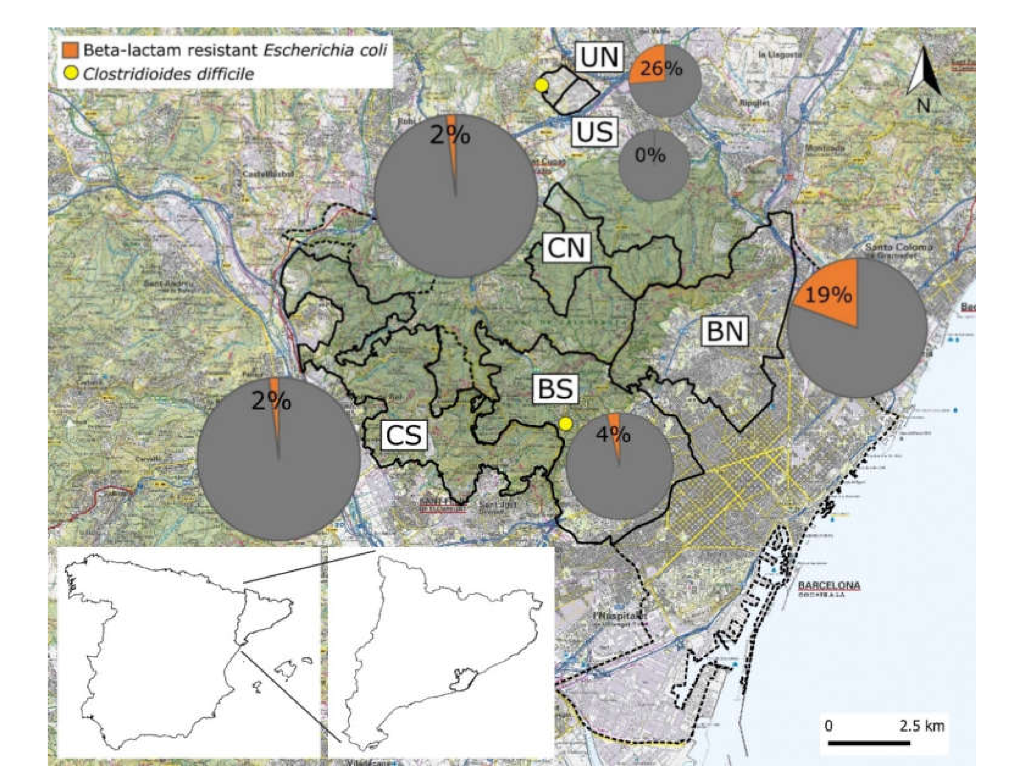 Animals 11 01585 g001