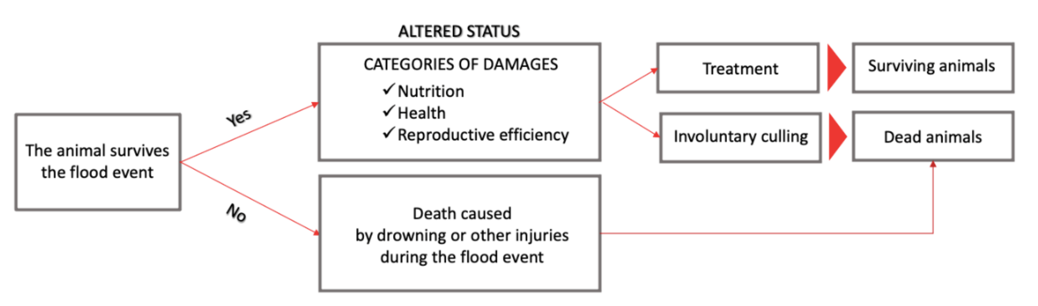 Animals 11 01586 g004