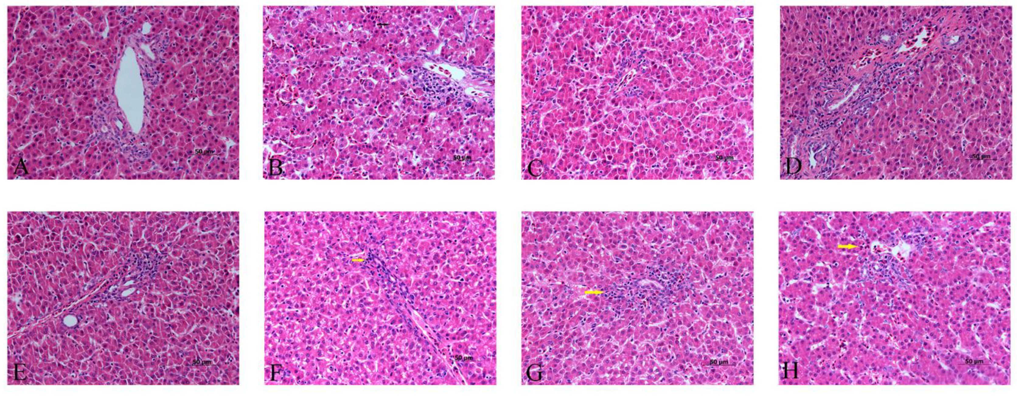 Animals 11 01606 g003