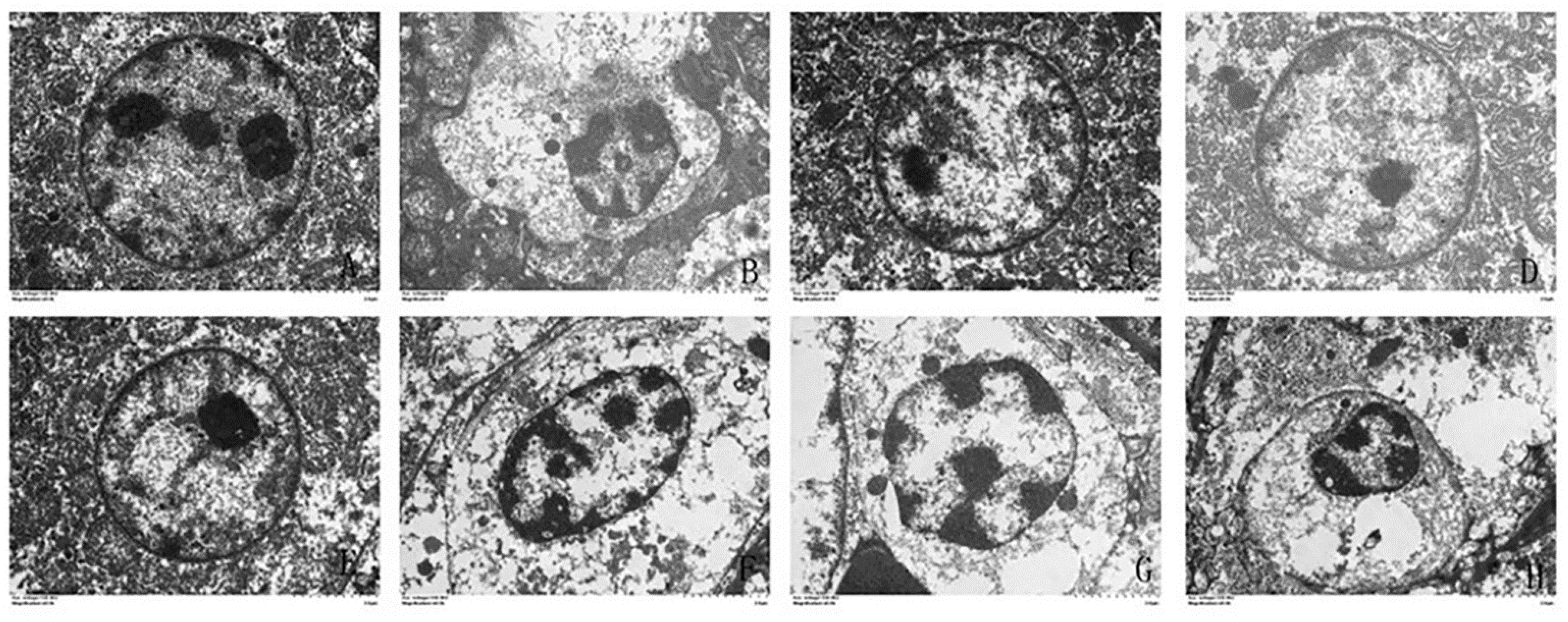 Animals 11 01606 g004