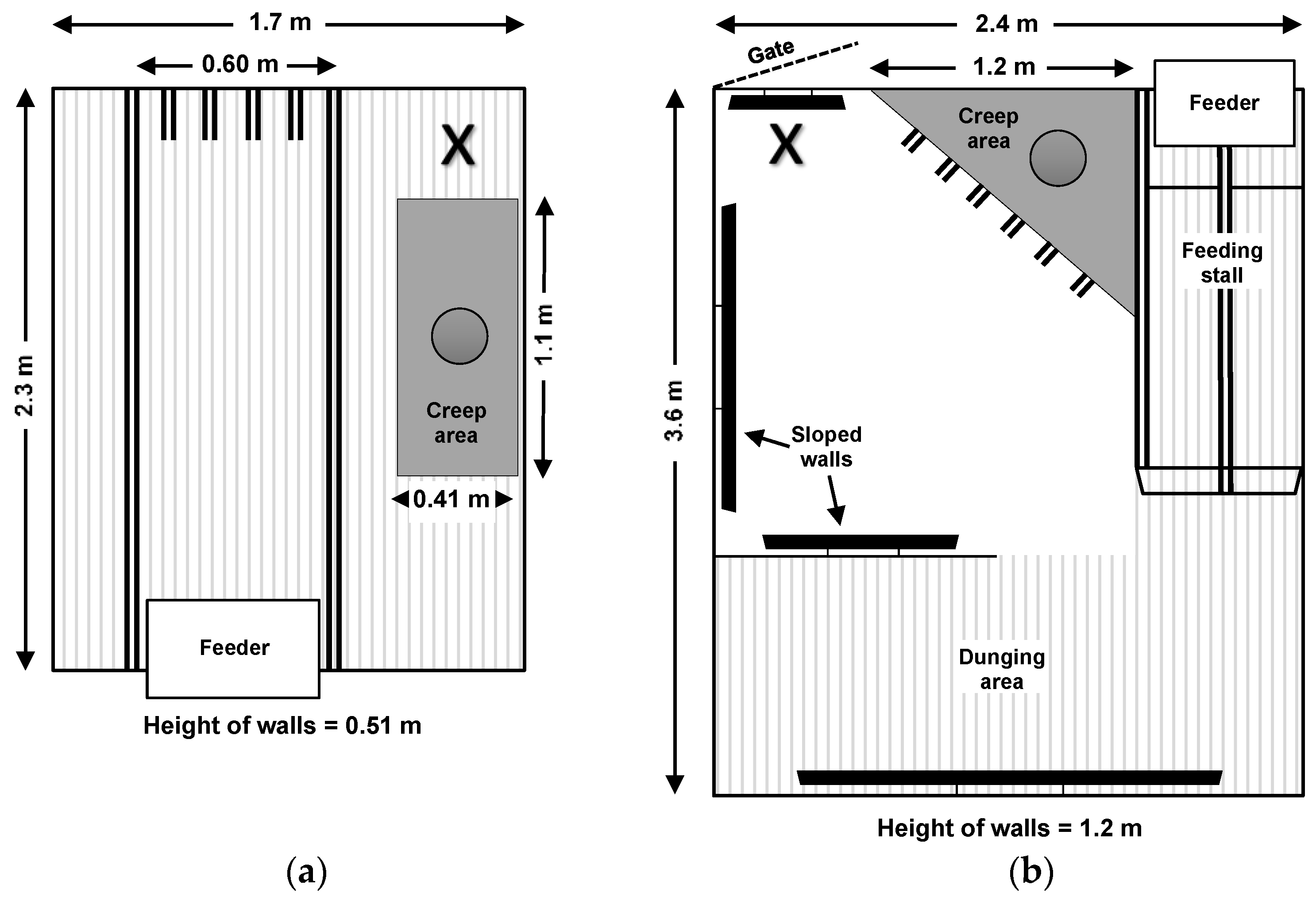 Animals 11 01619 g001