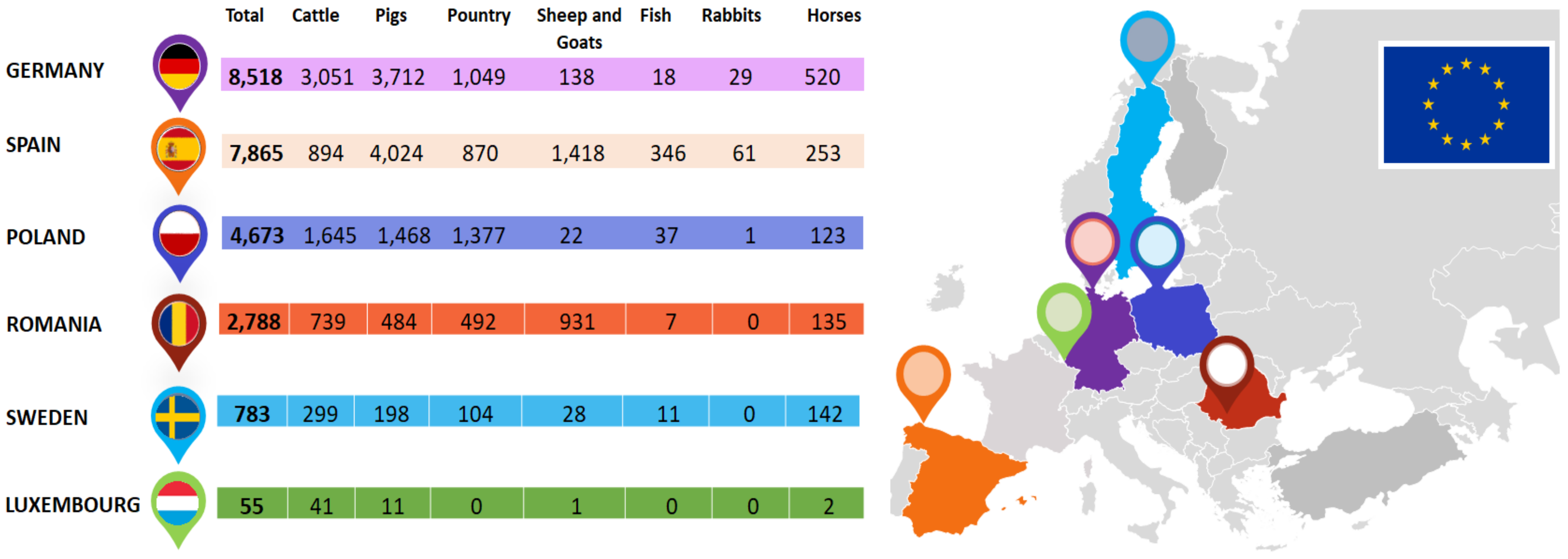 Animals 11 01625 g001