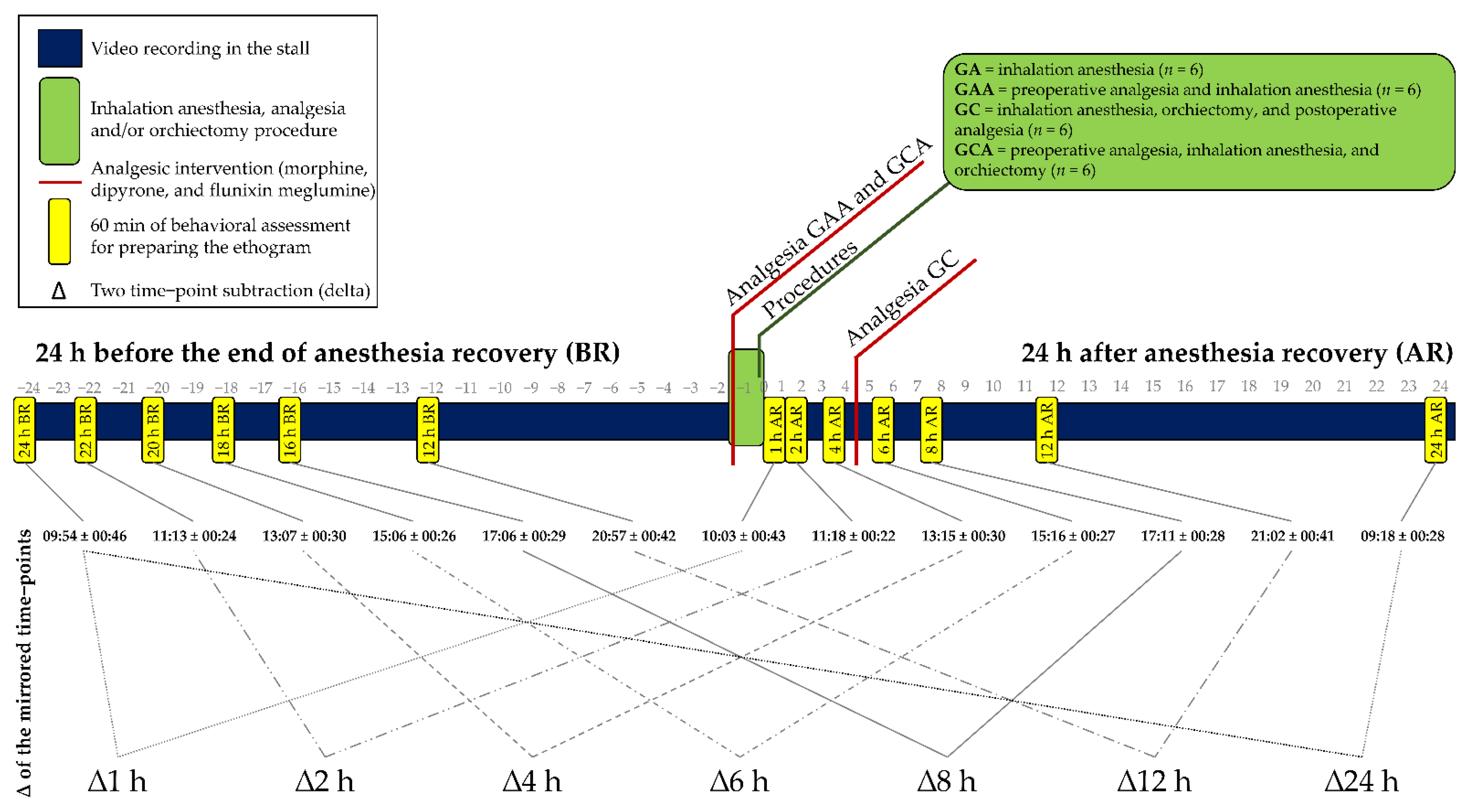 Animals 11 01629 g001