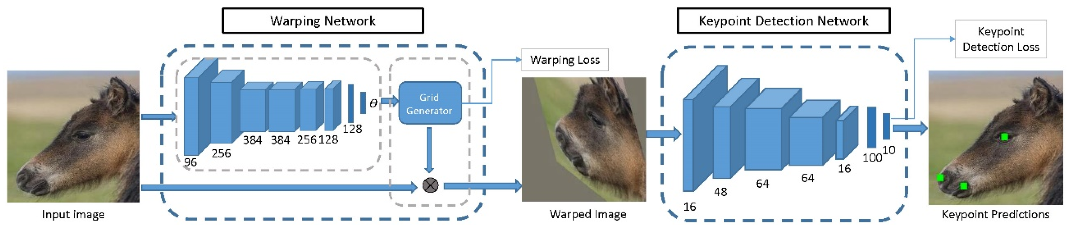 Animals 11 01643 g001