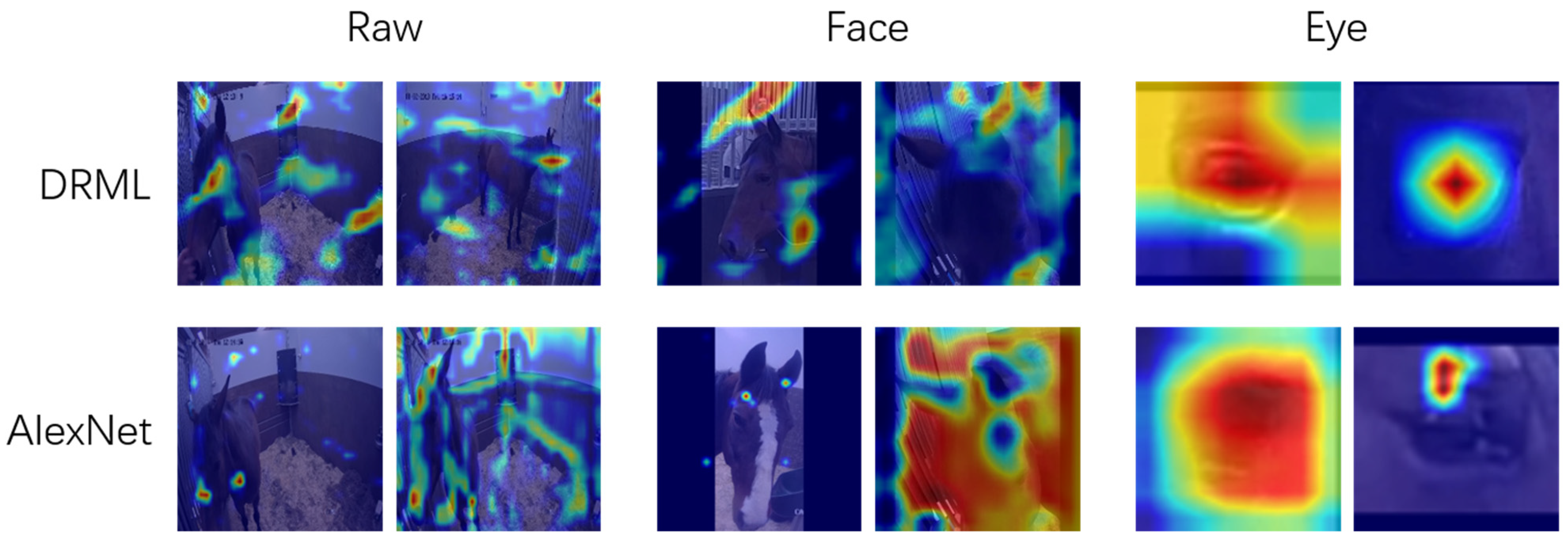 Animals 11 01643 g002