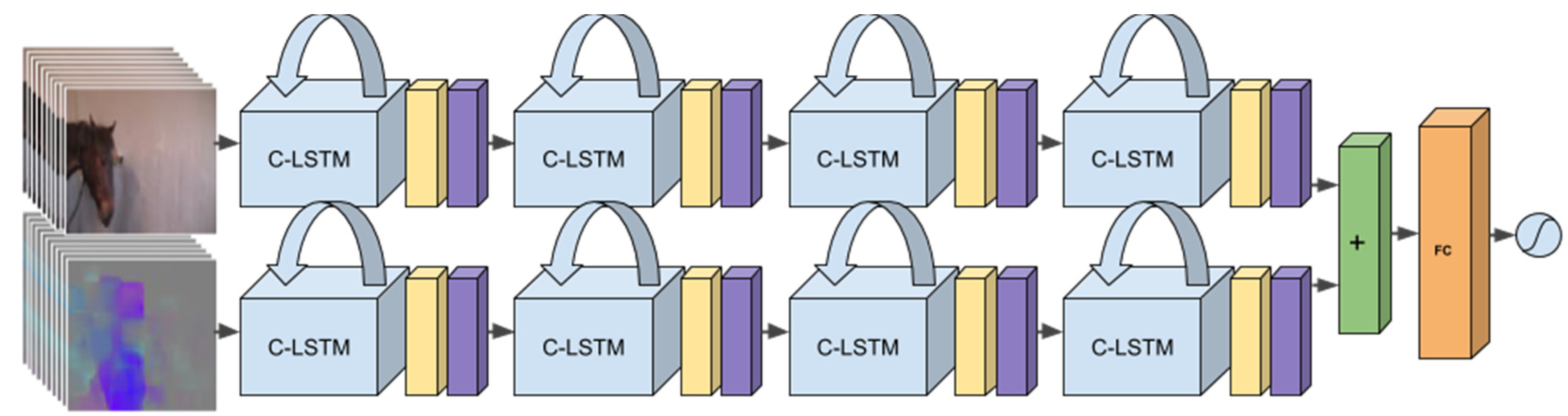 Animals 11 01643 g003