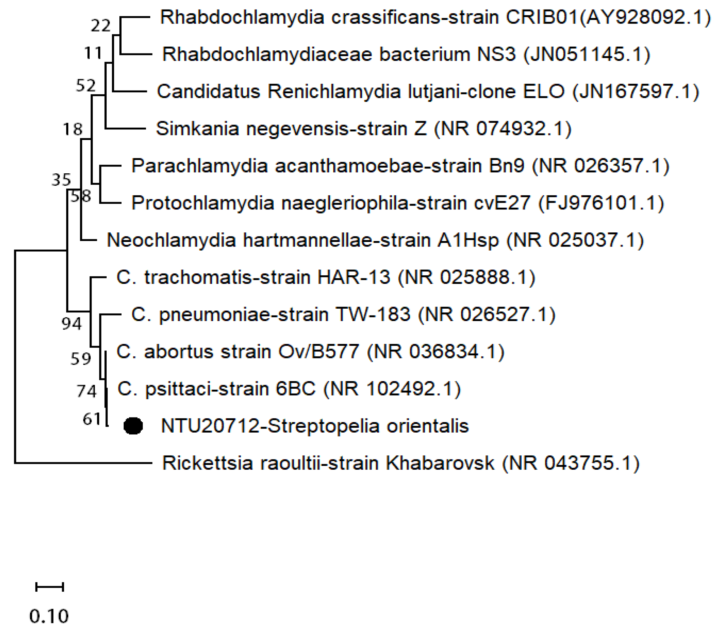 Animals 11 01654 g003