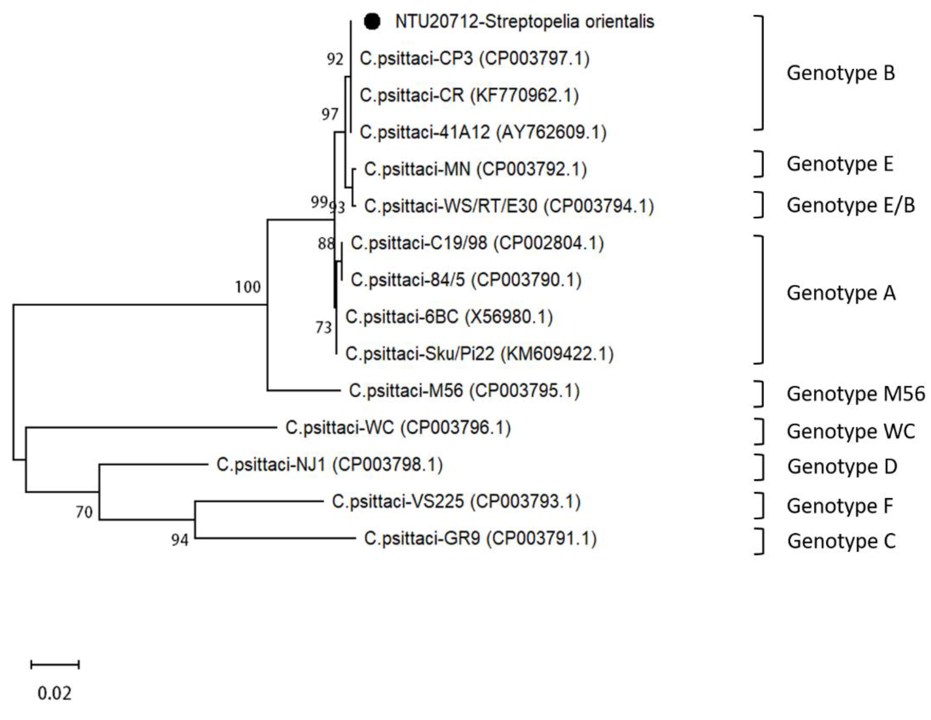 Animals 11 01654 g004