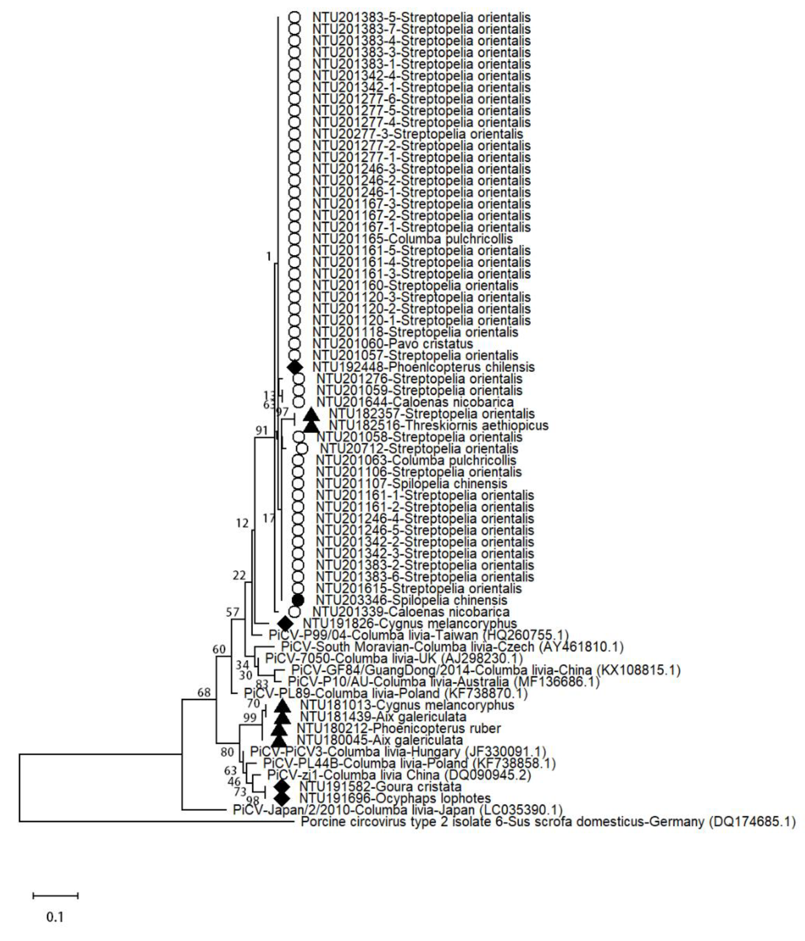 Animals 11 01654 g005