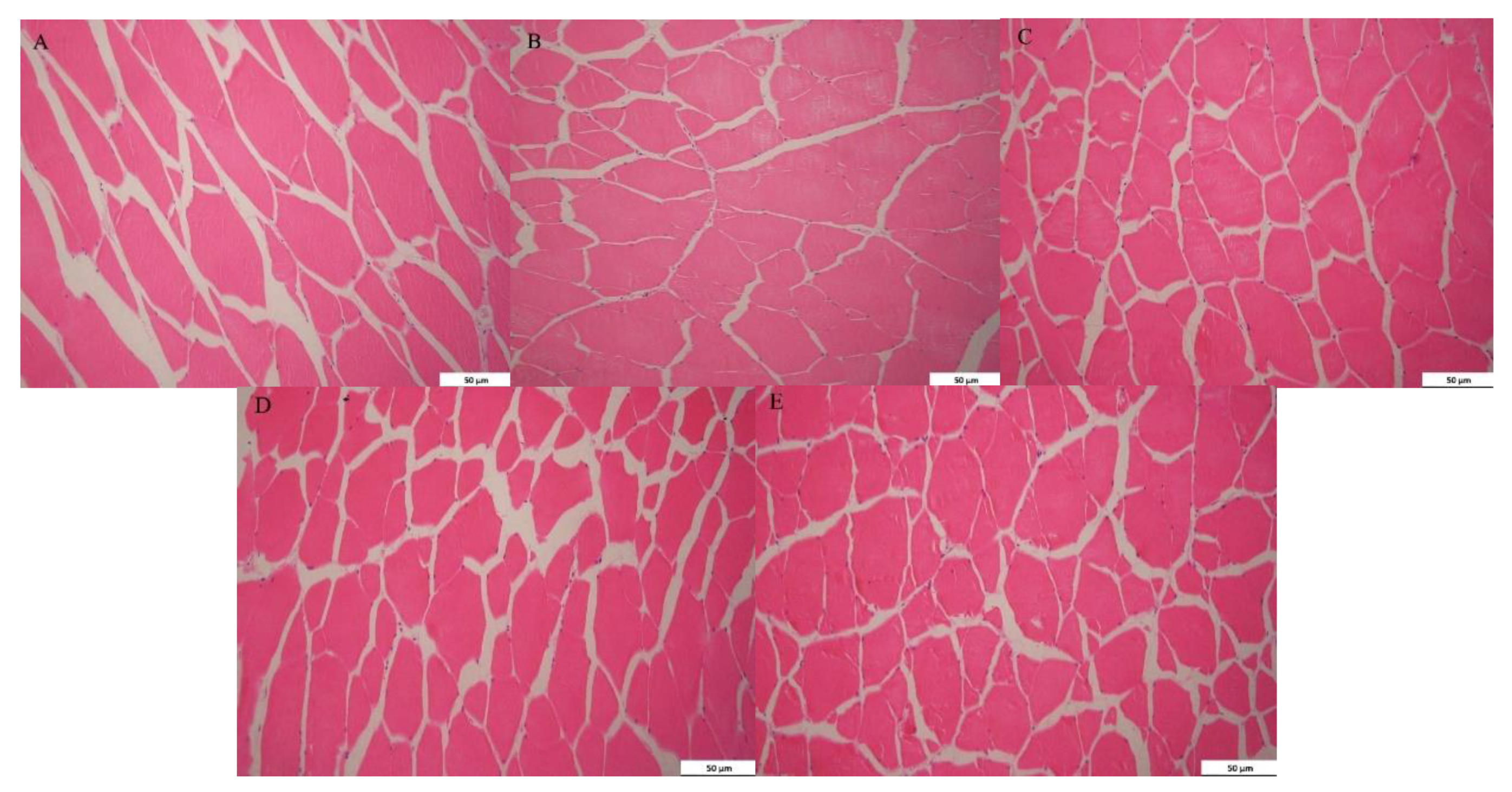 Animals 11 01655 g002