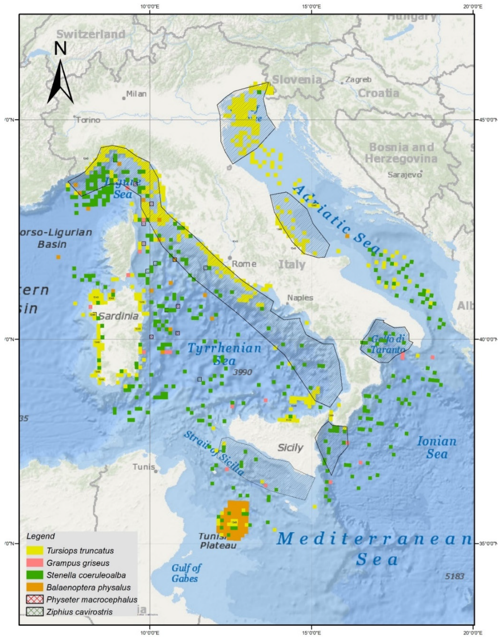 Animals 11 01663 g001