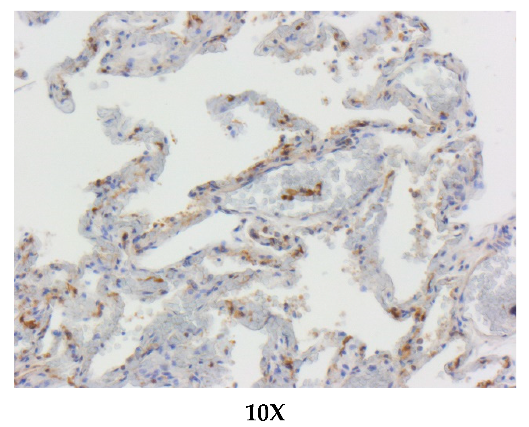 Animals 11 01663 g002