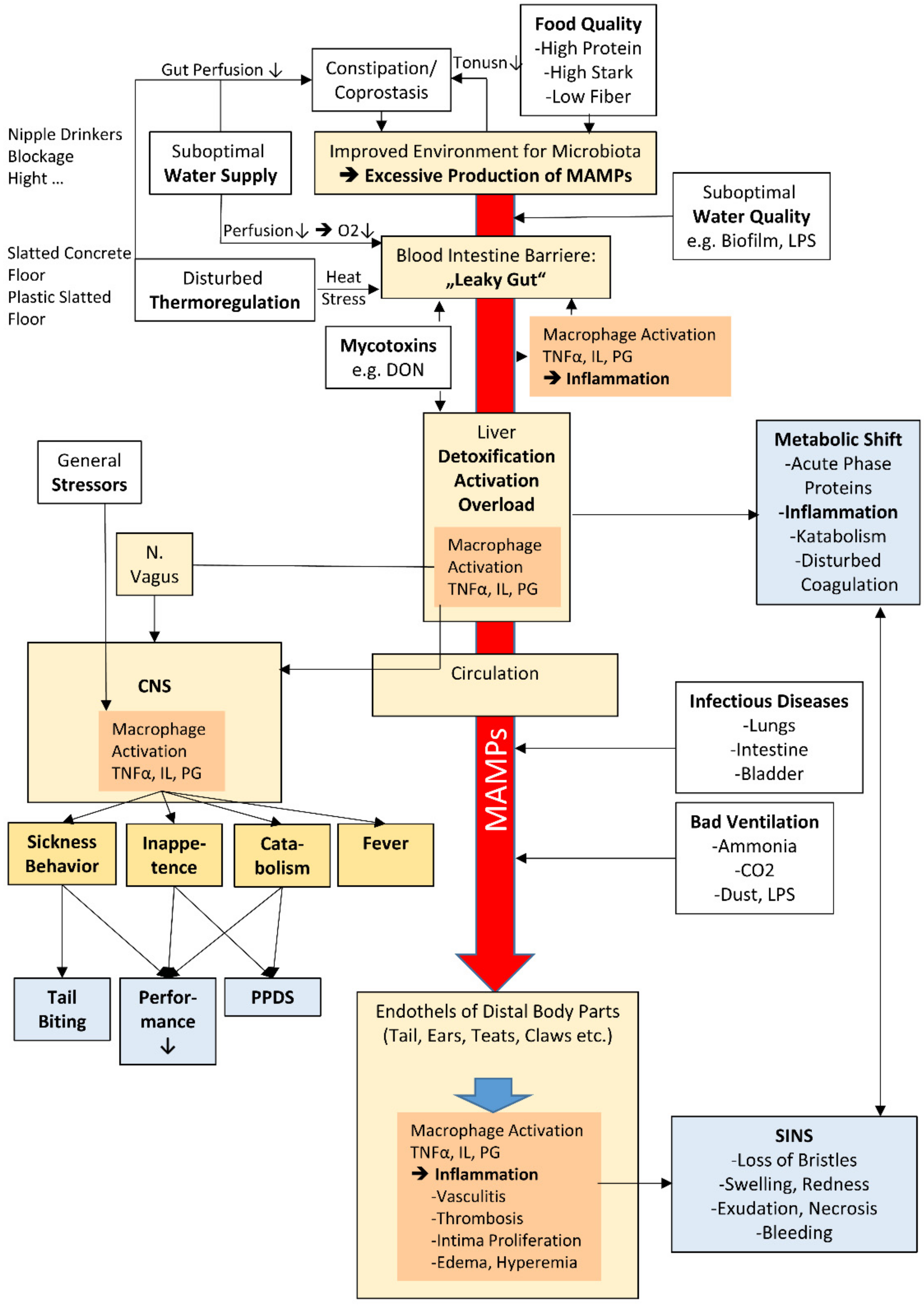 Animals 11 01670 g002