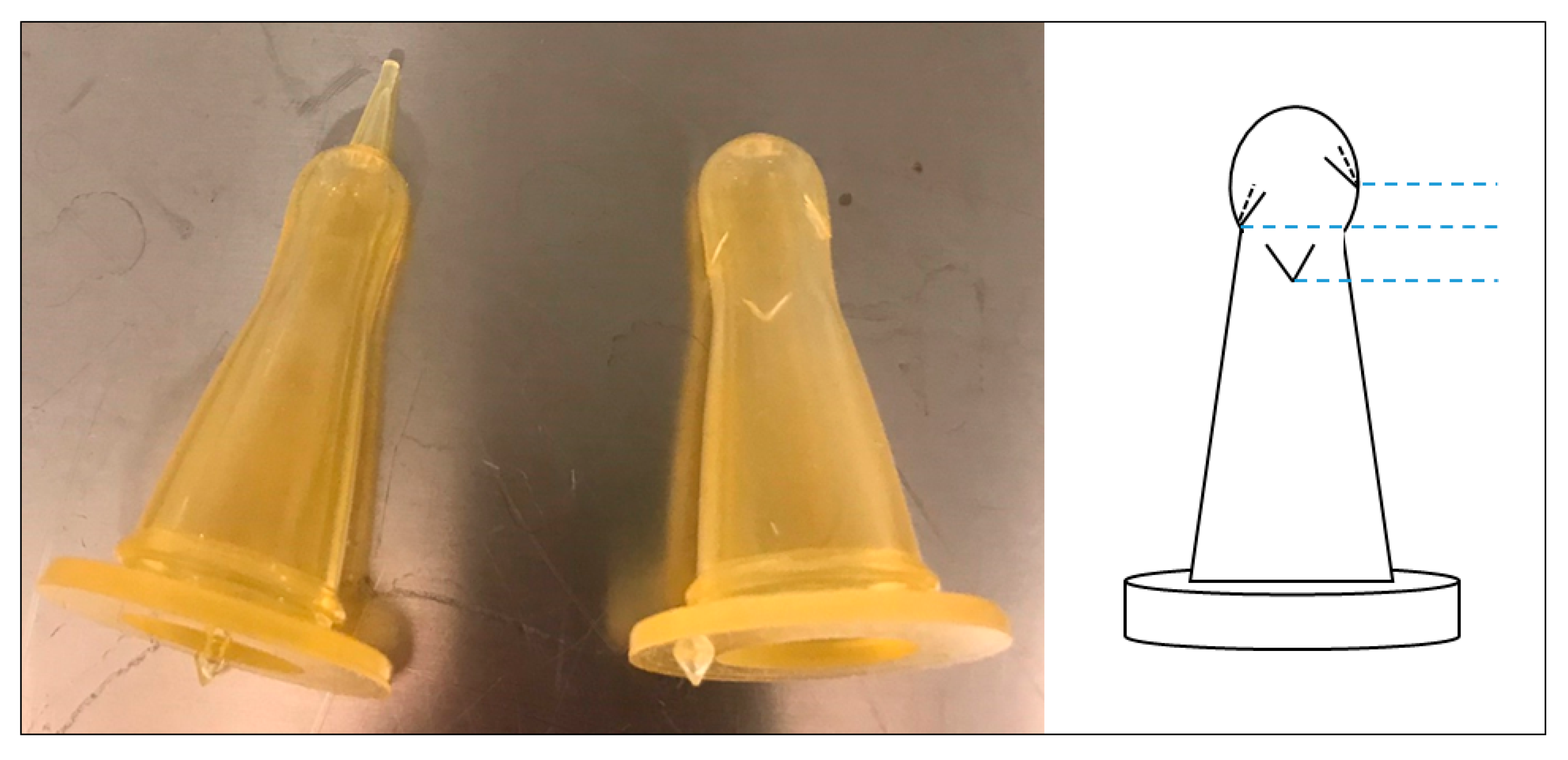 Animals 11 01677 g002