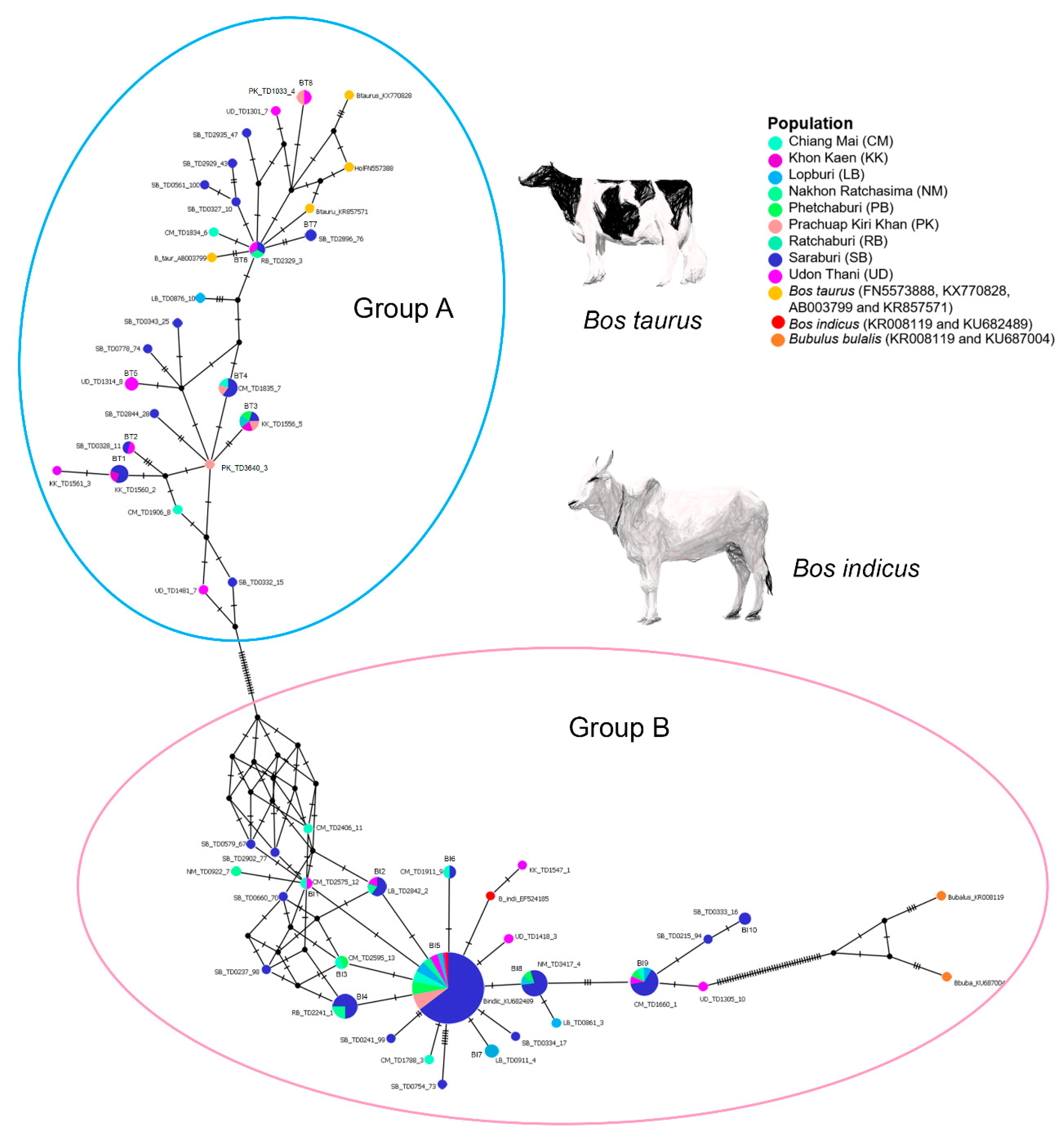 Animals 11 01680 g001