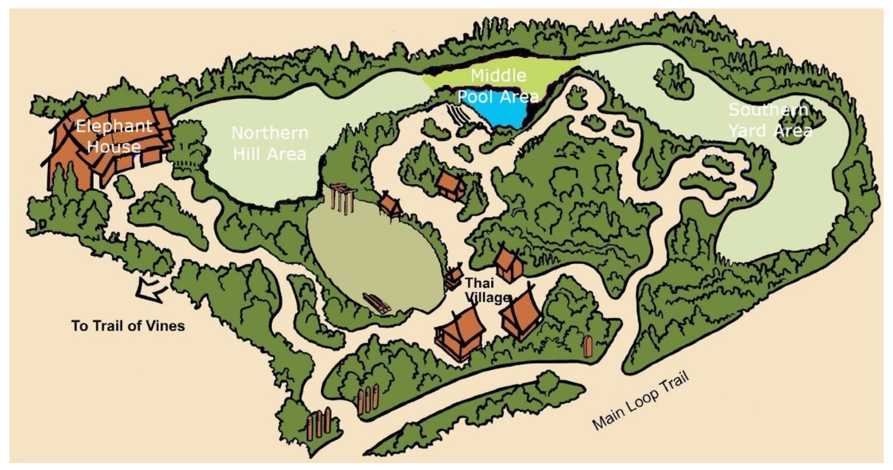 Animals 11 01689 g001