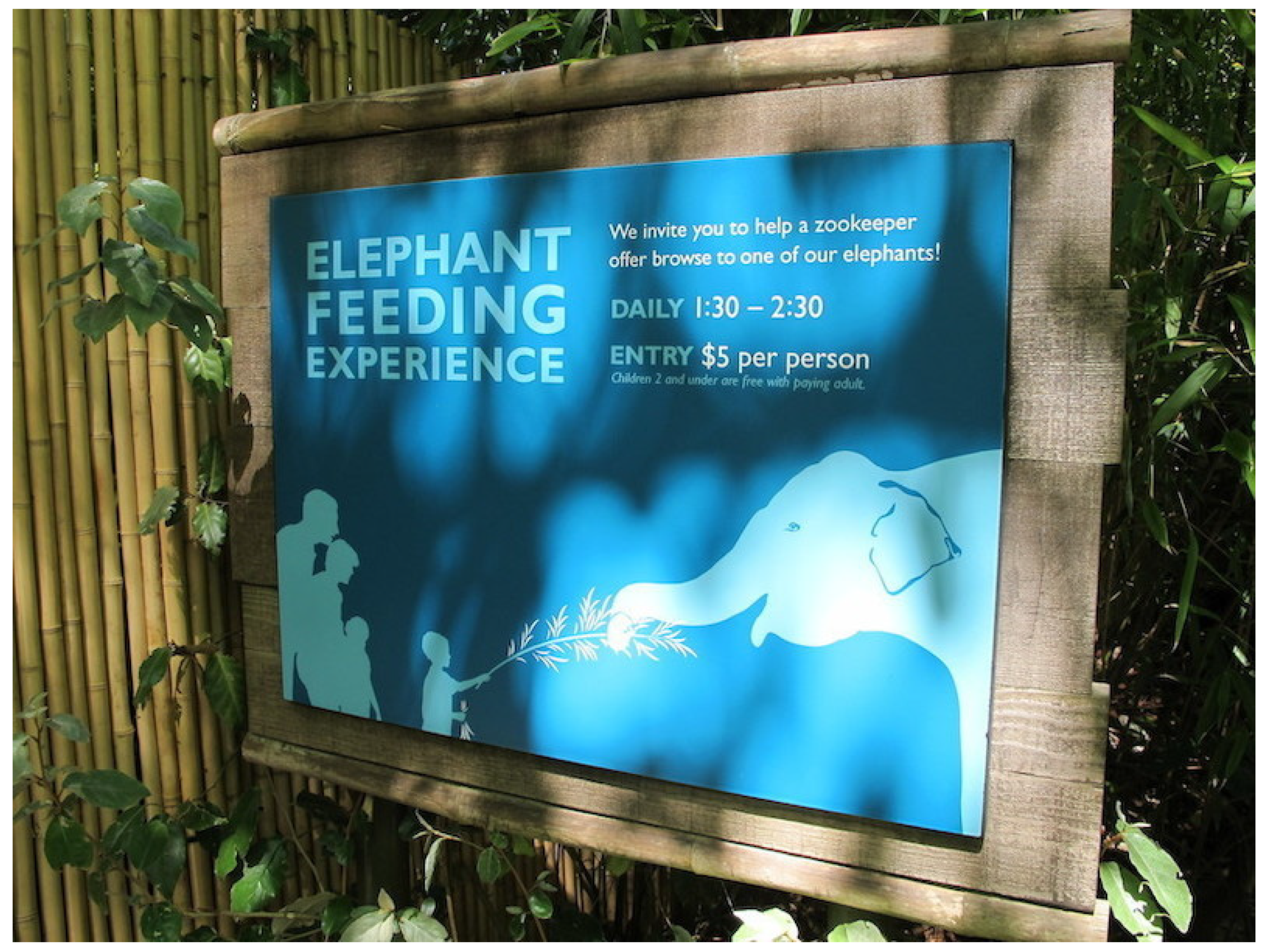 Animals 11 01689 g002