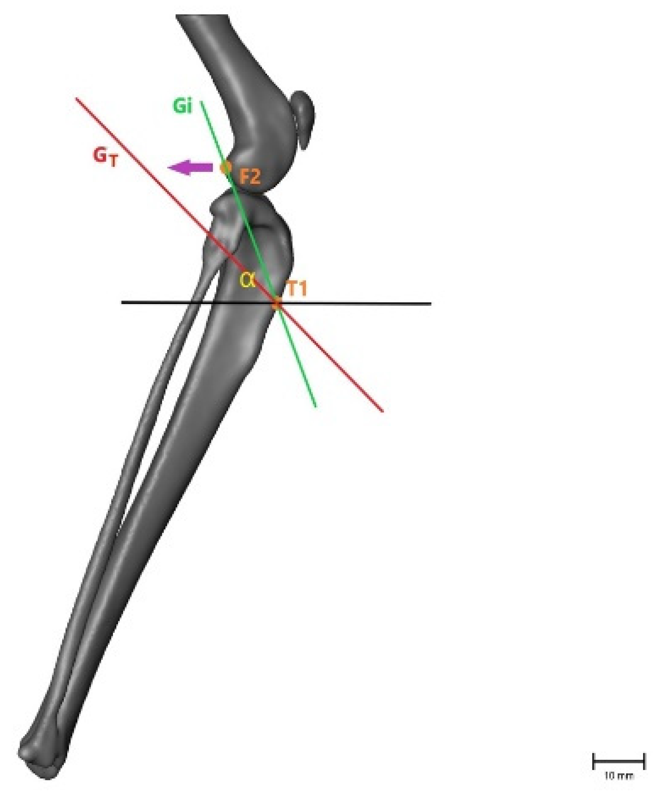 Animals 11 01695 g004