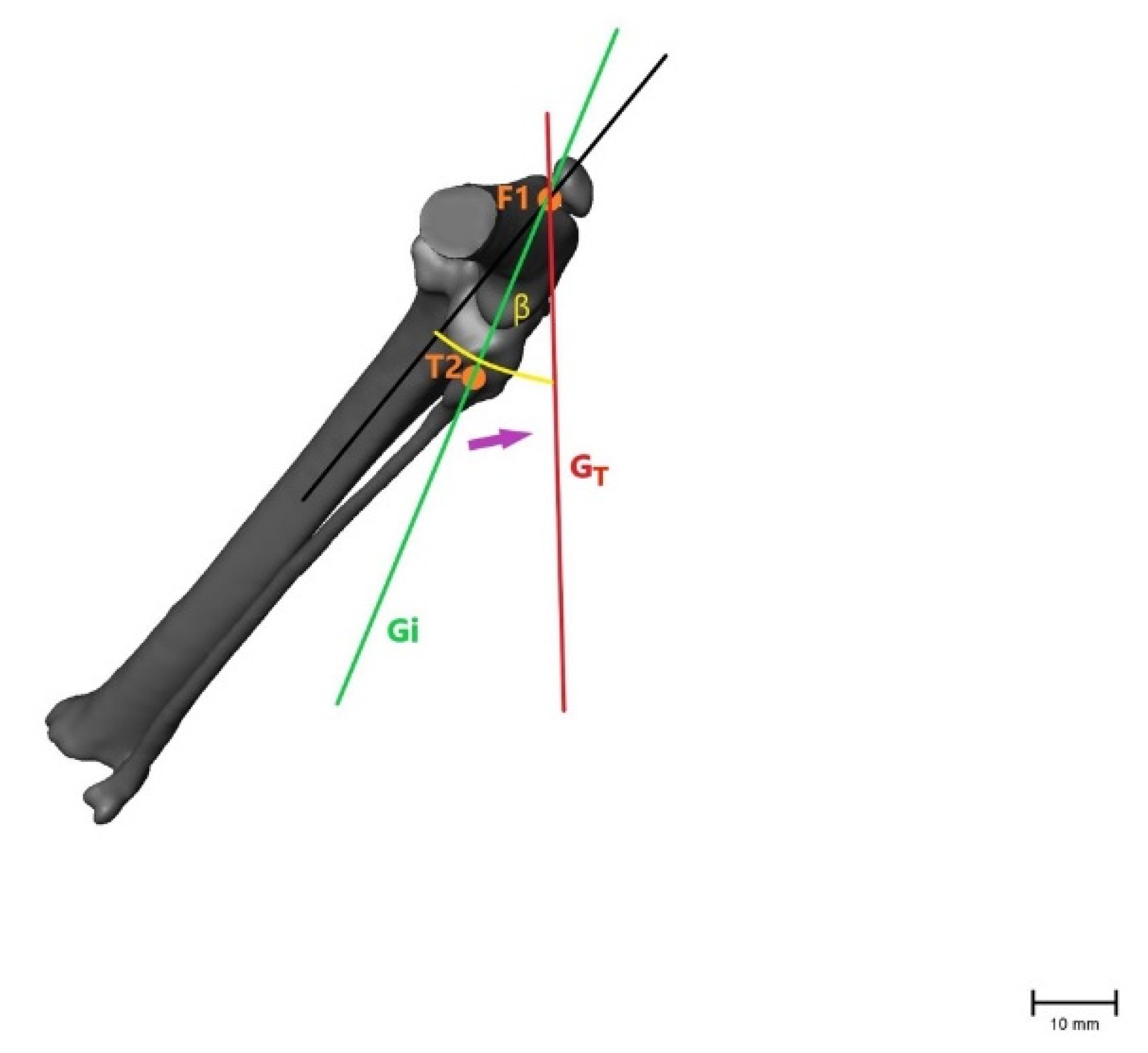 Animals 11 01695 g005