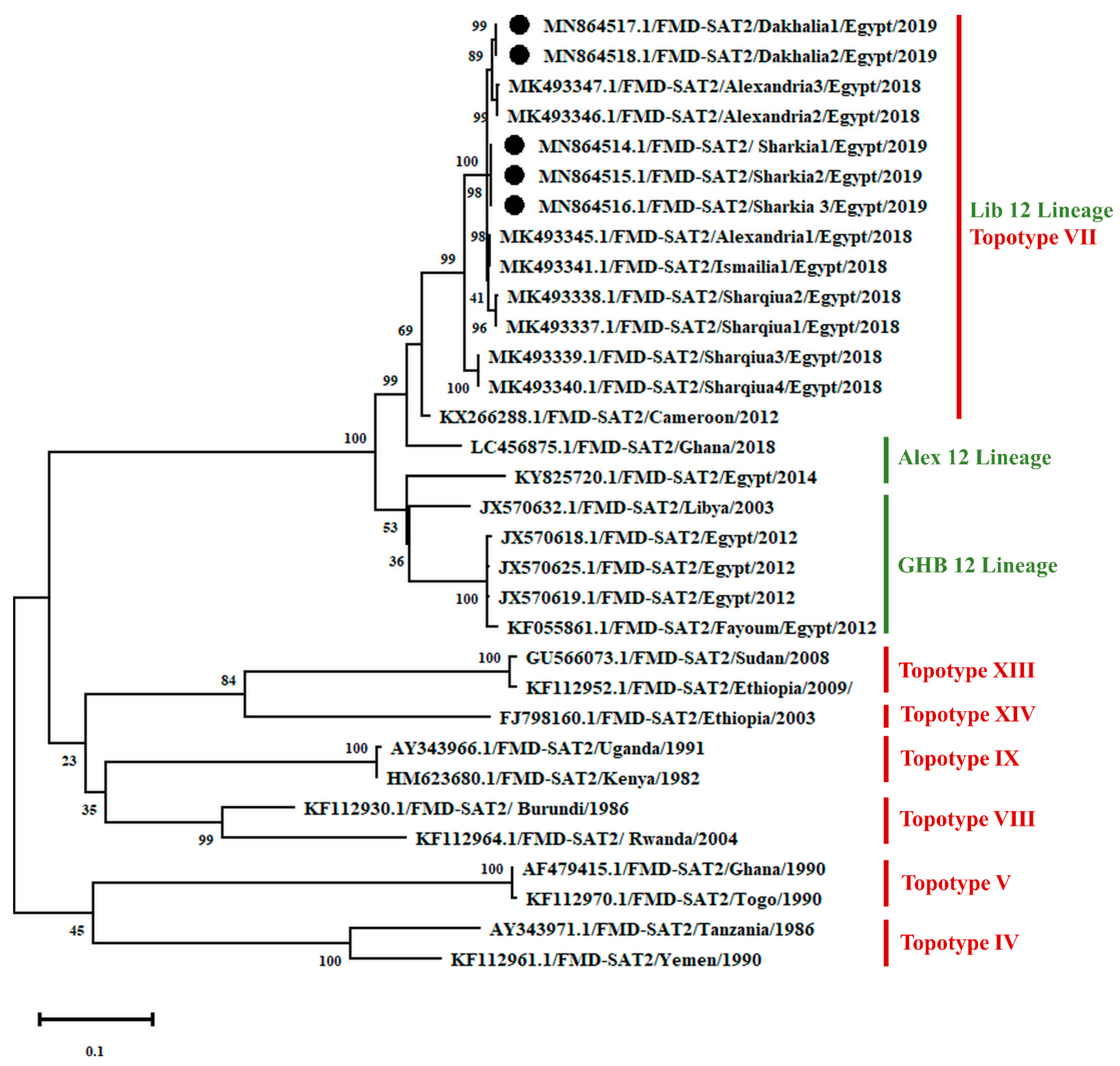 Animals 11 01697 g001