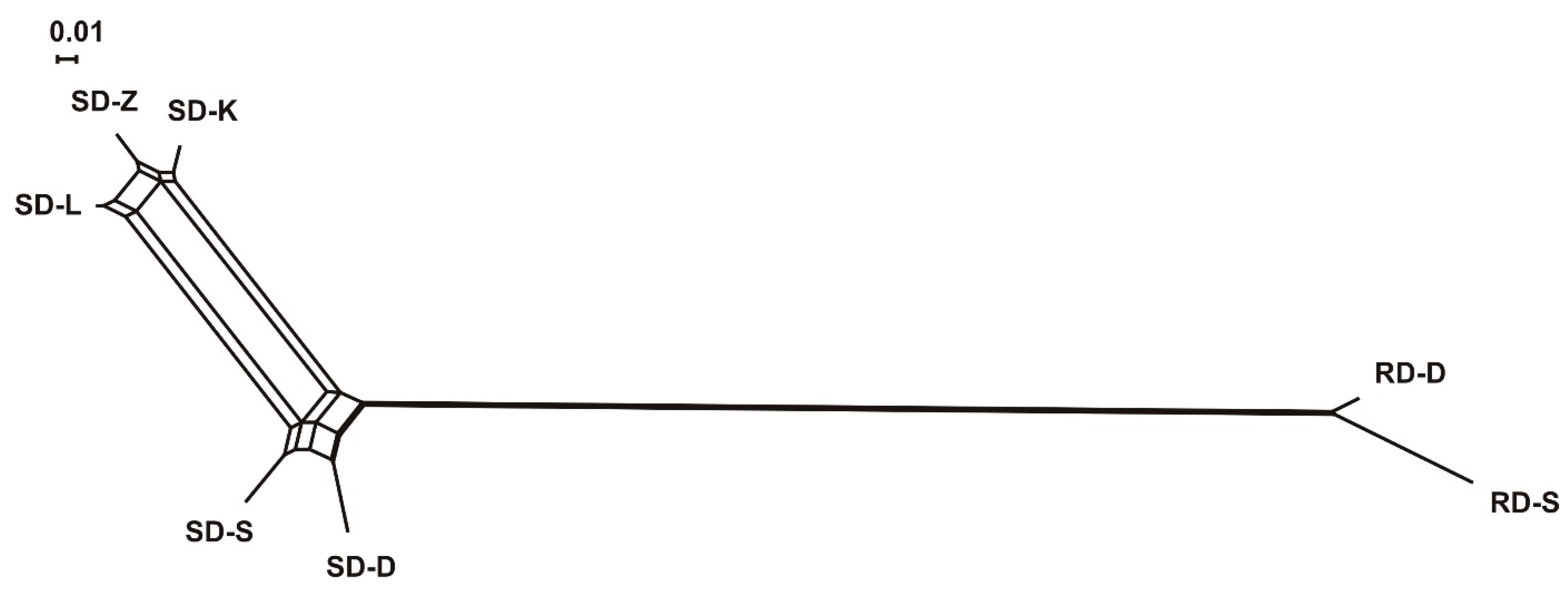 Animals 11 01701 g002