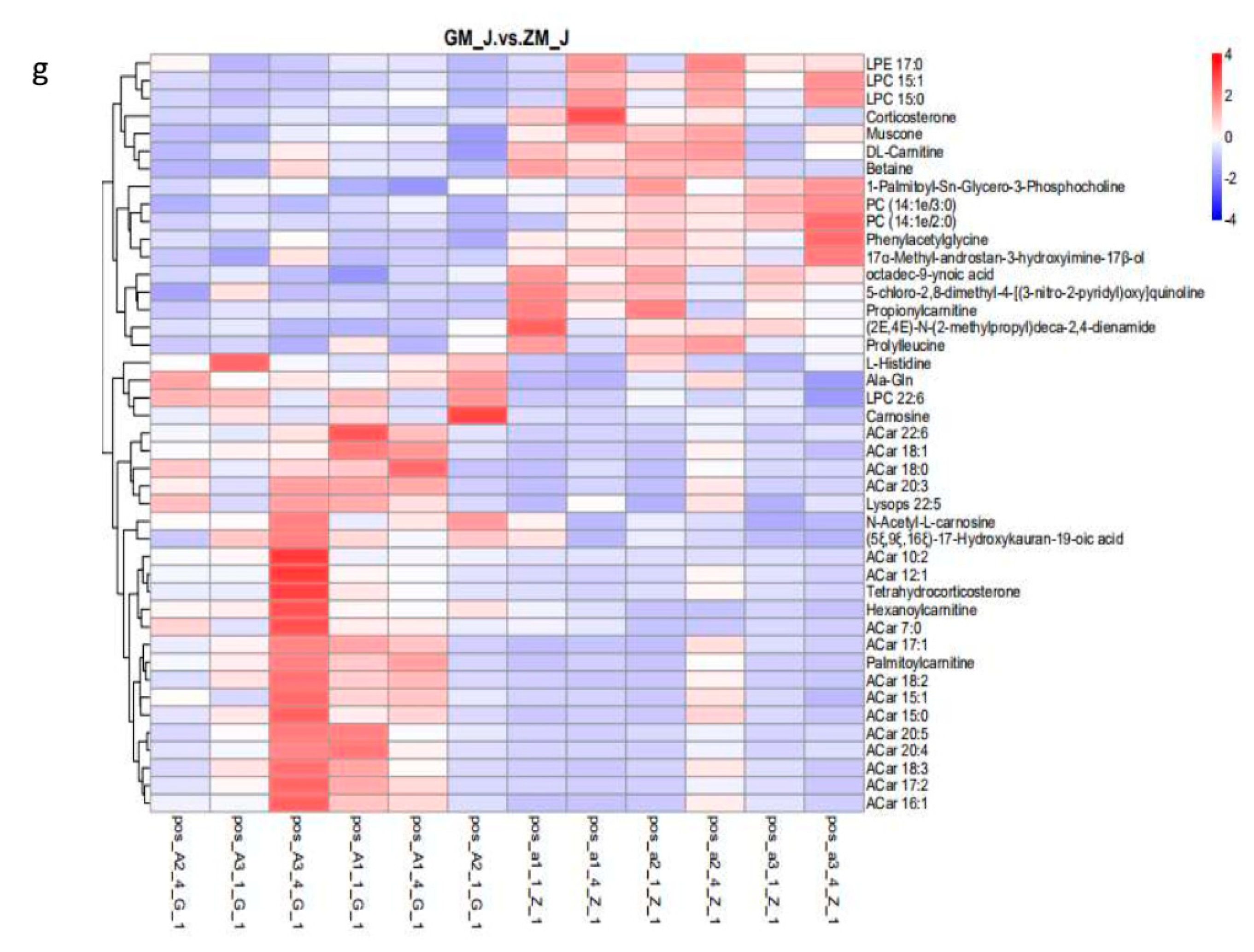 Animals 11 01722 g001b