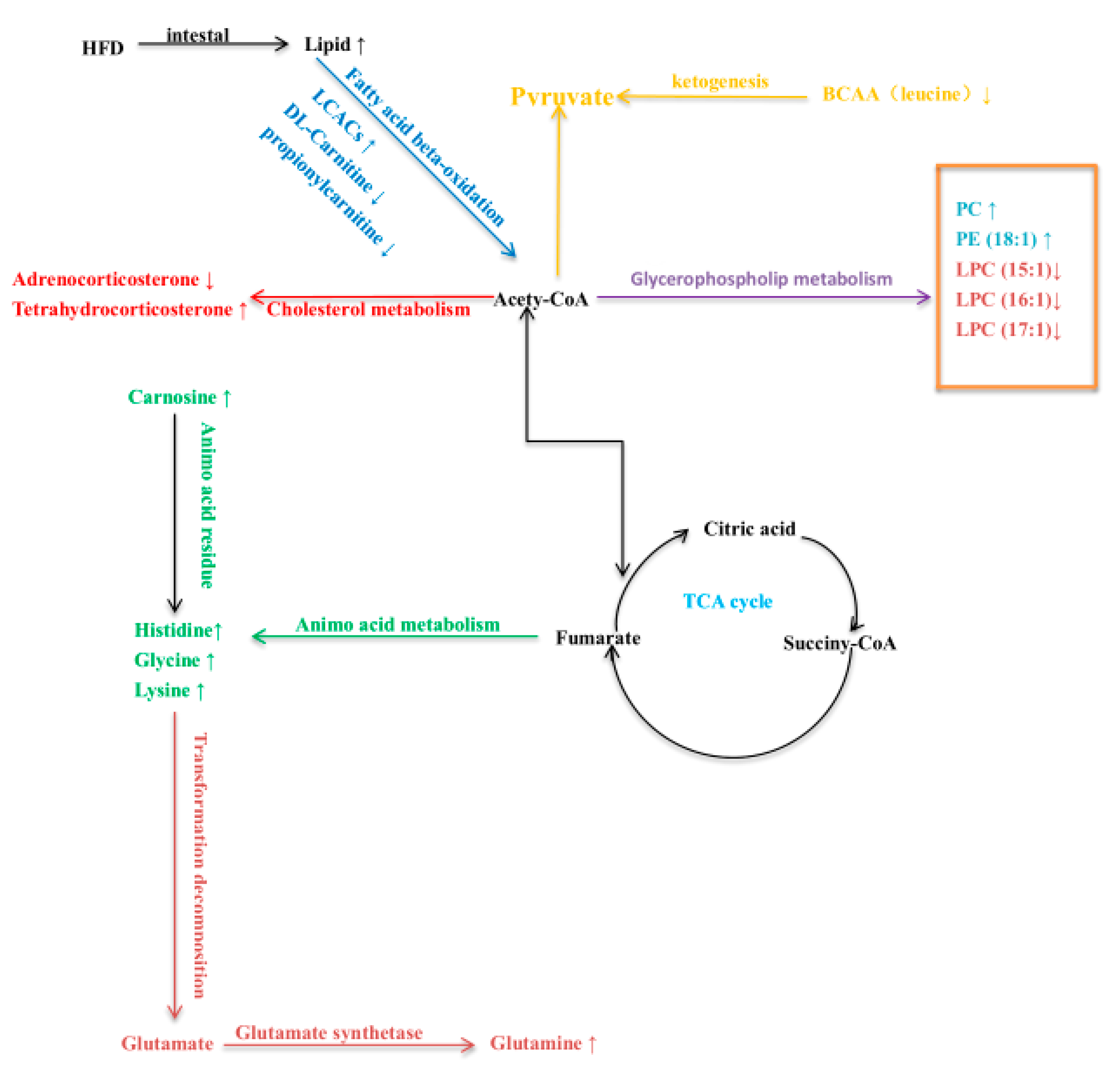 Animals 11 01722 g003