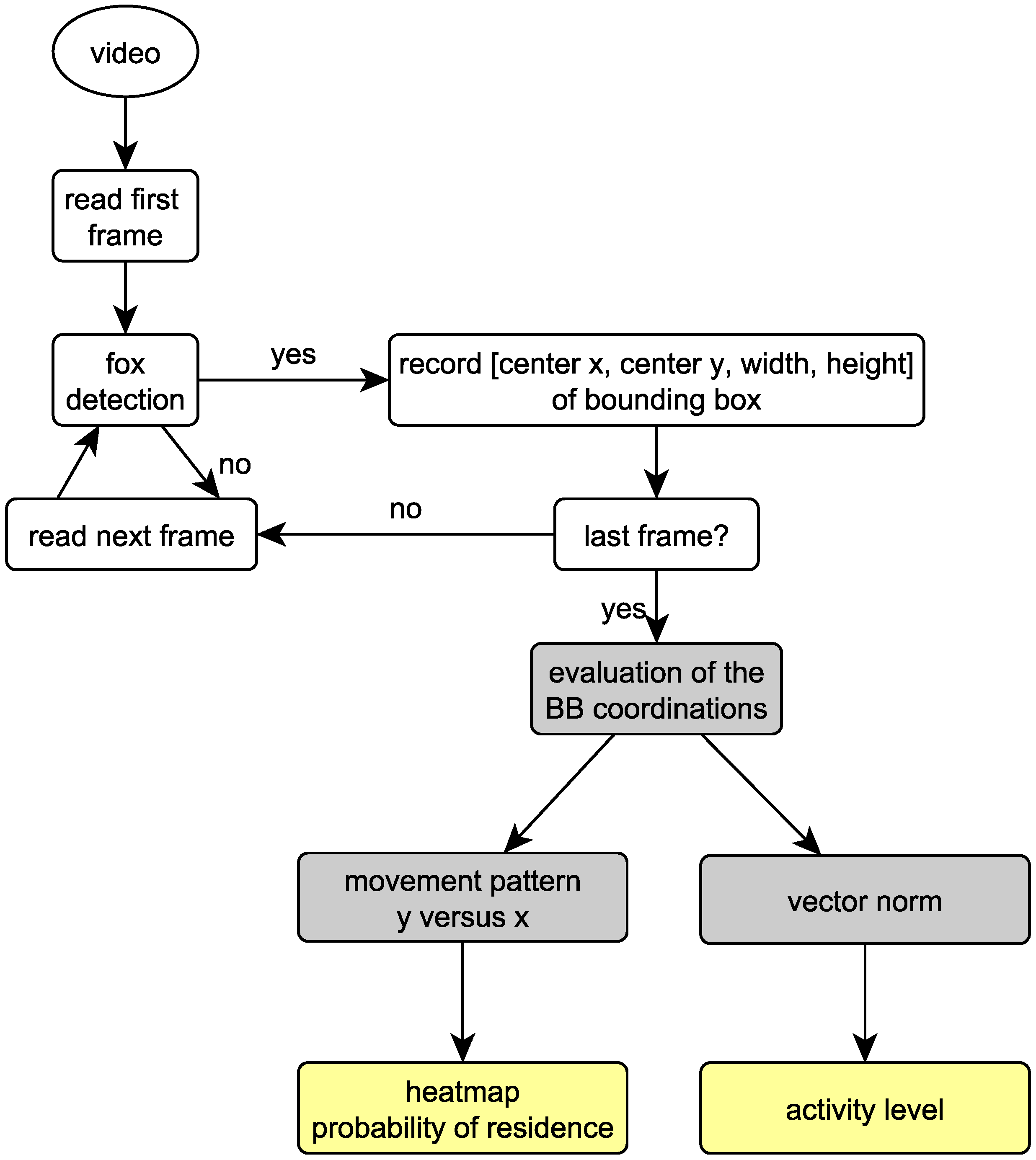 Animals 11 01723 g002