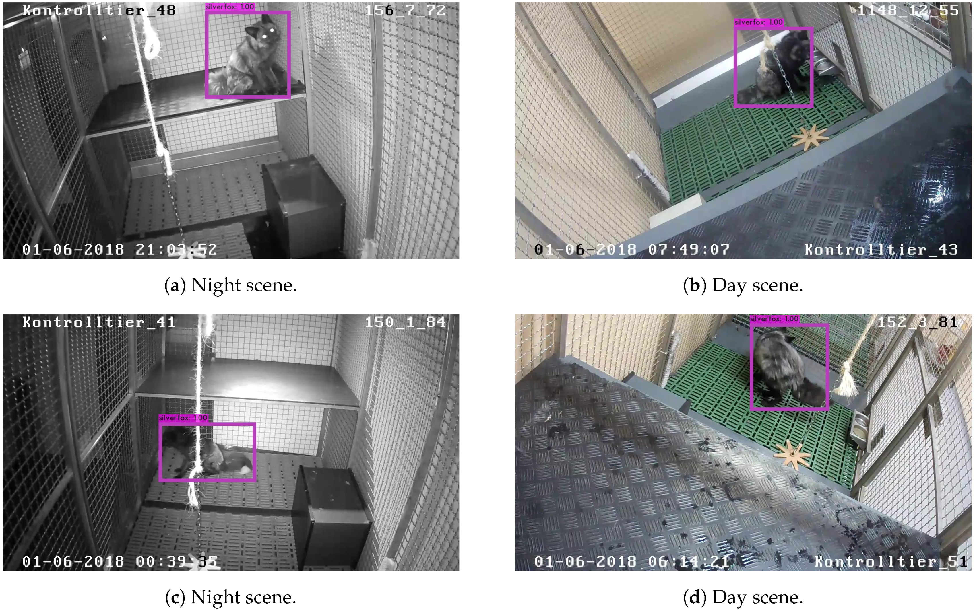 Animals 11 01723 g005