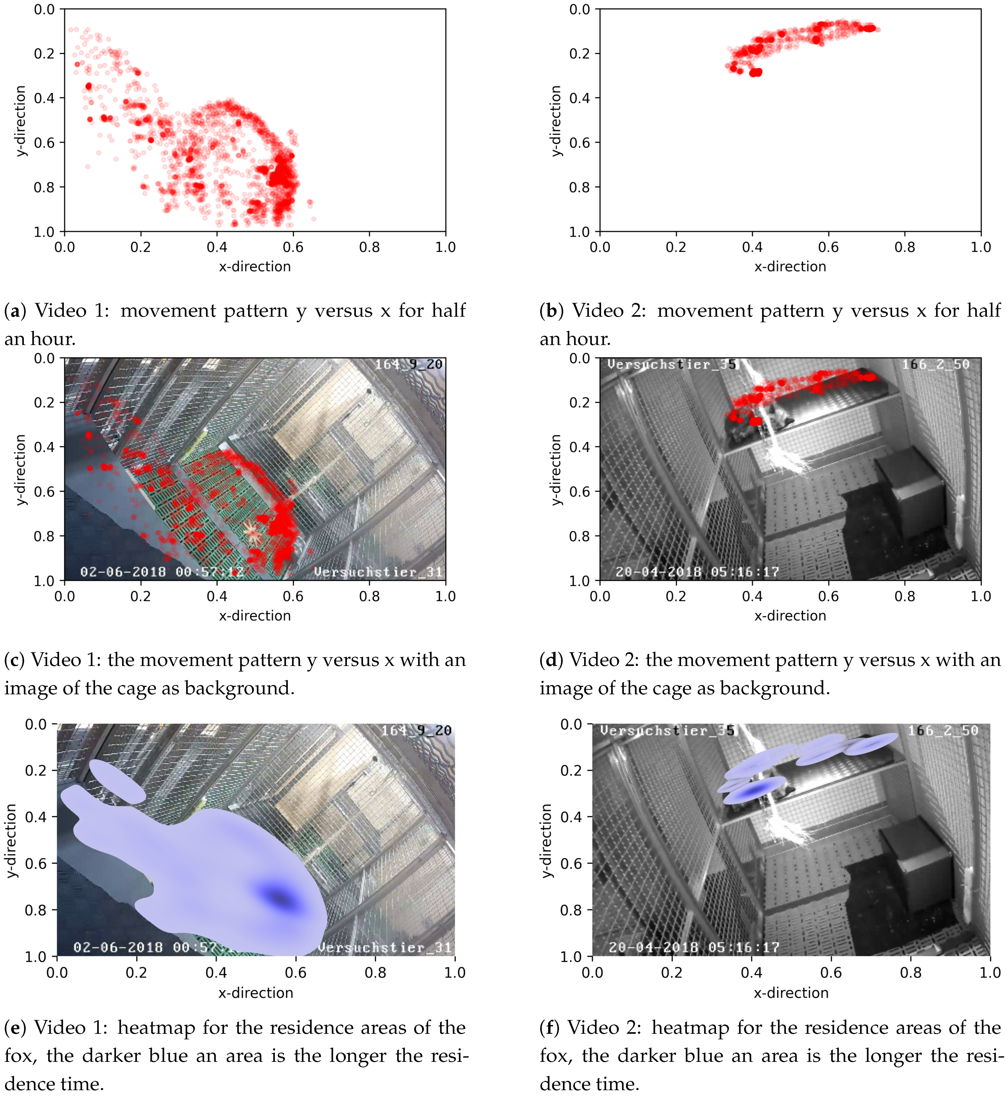 Animals 11 01723 g006