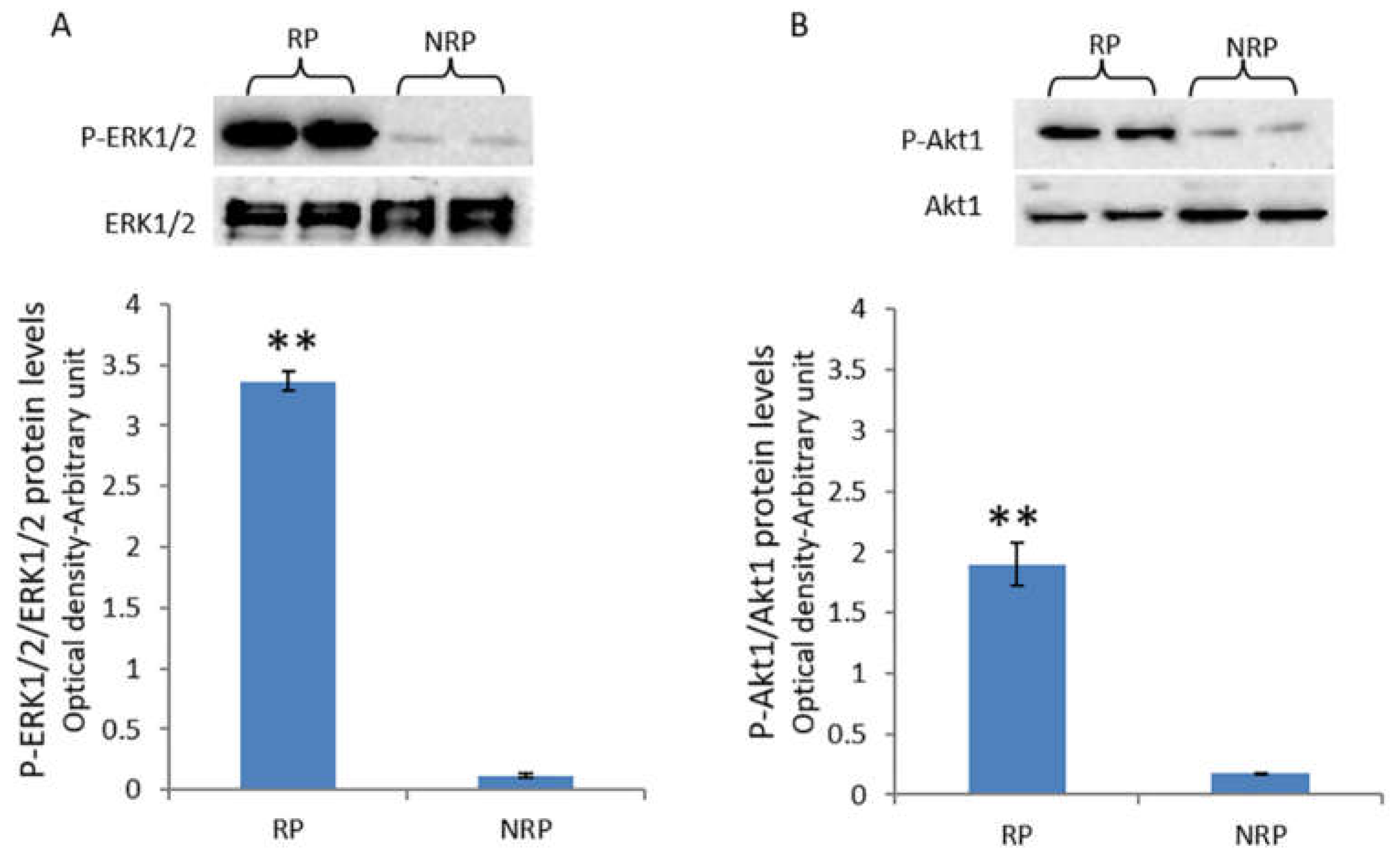 Animals 11 01729 g002