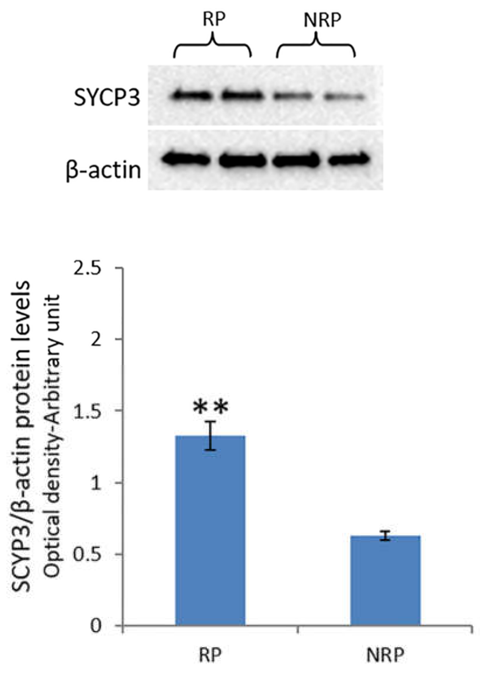Animals 11 01729 g004