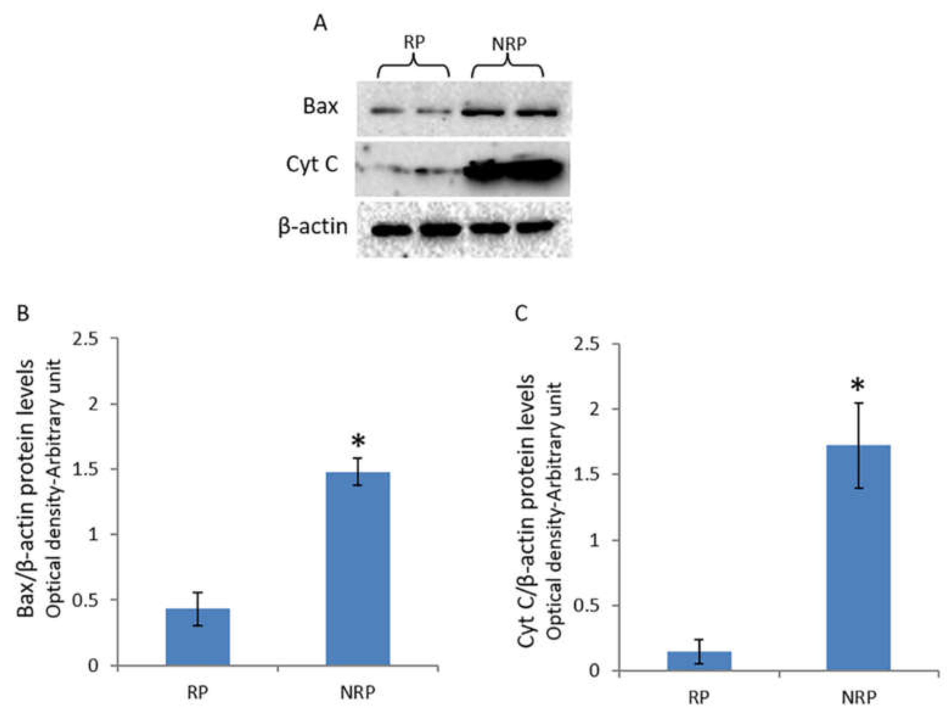 Animals 11 01729 g005