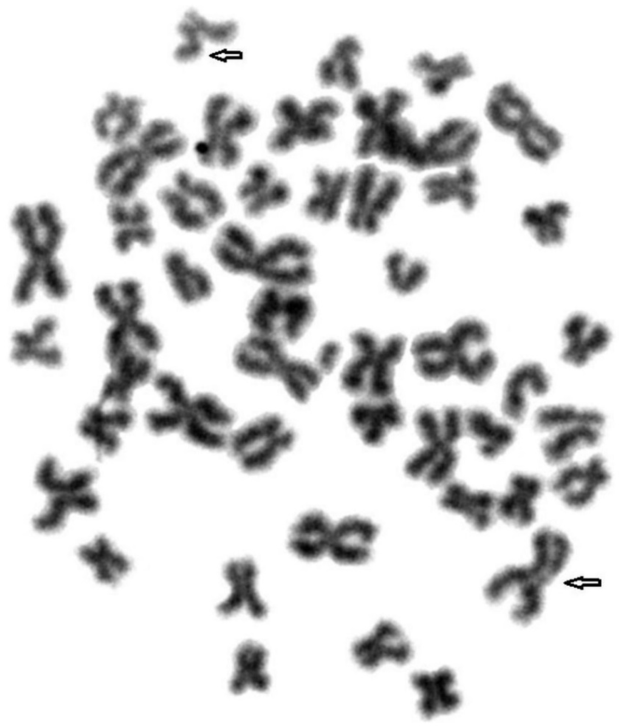 Animals 11 01743 g001