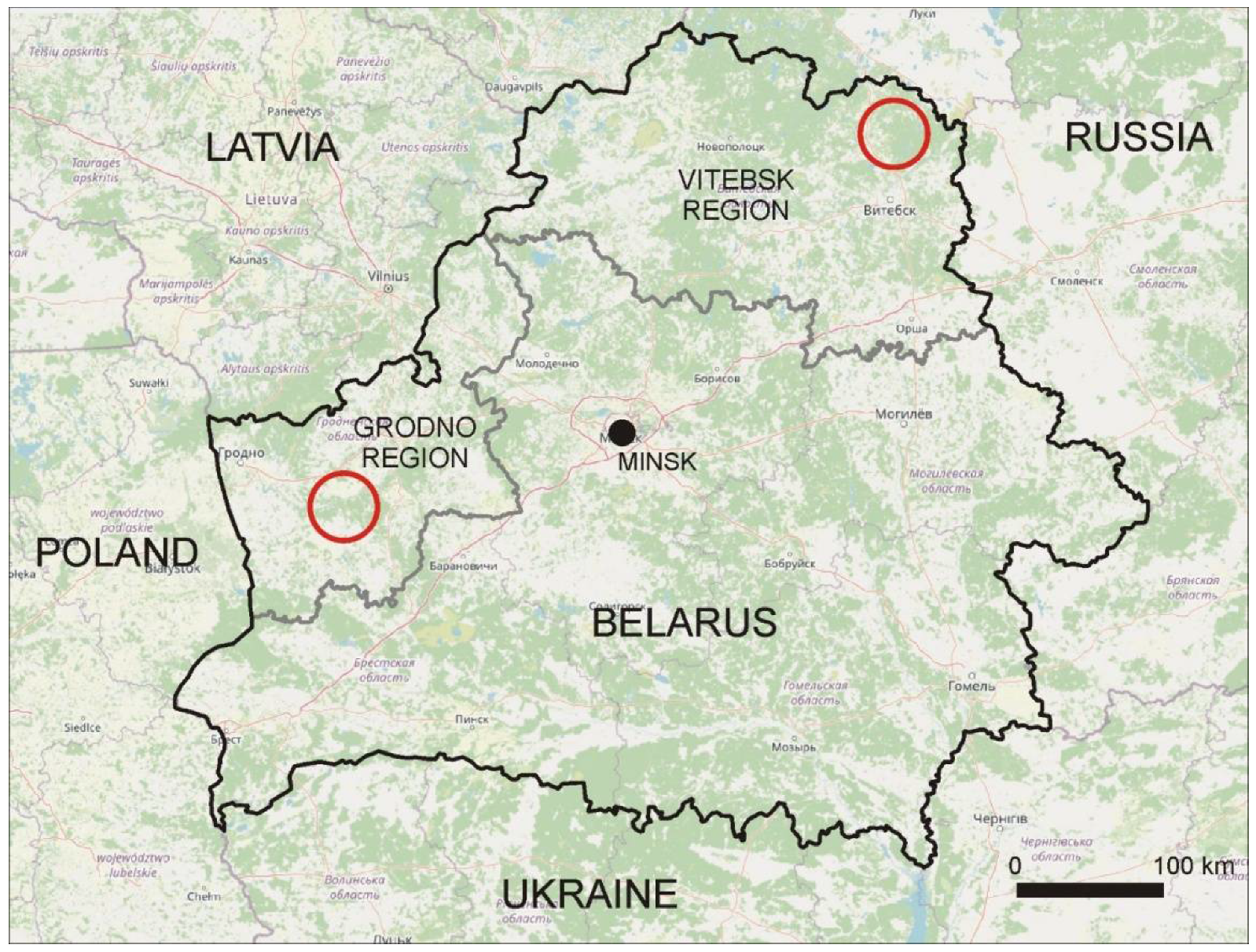 Animals 11 01758 g001