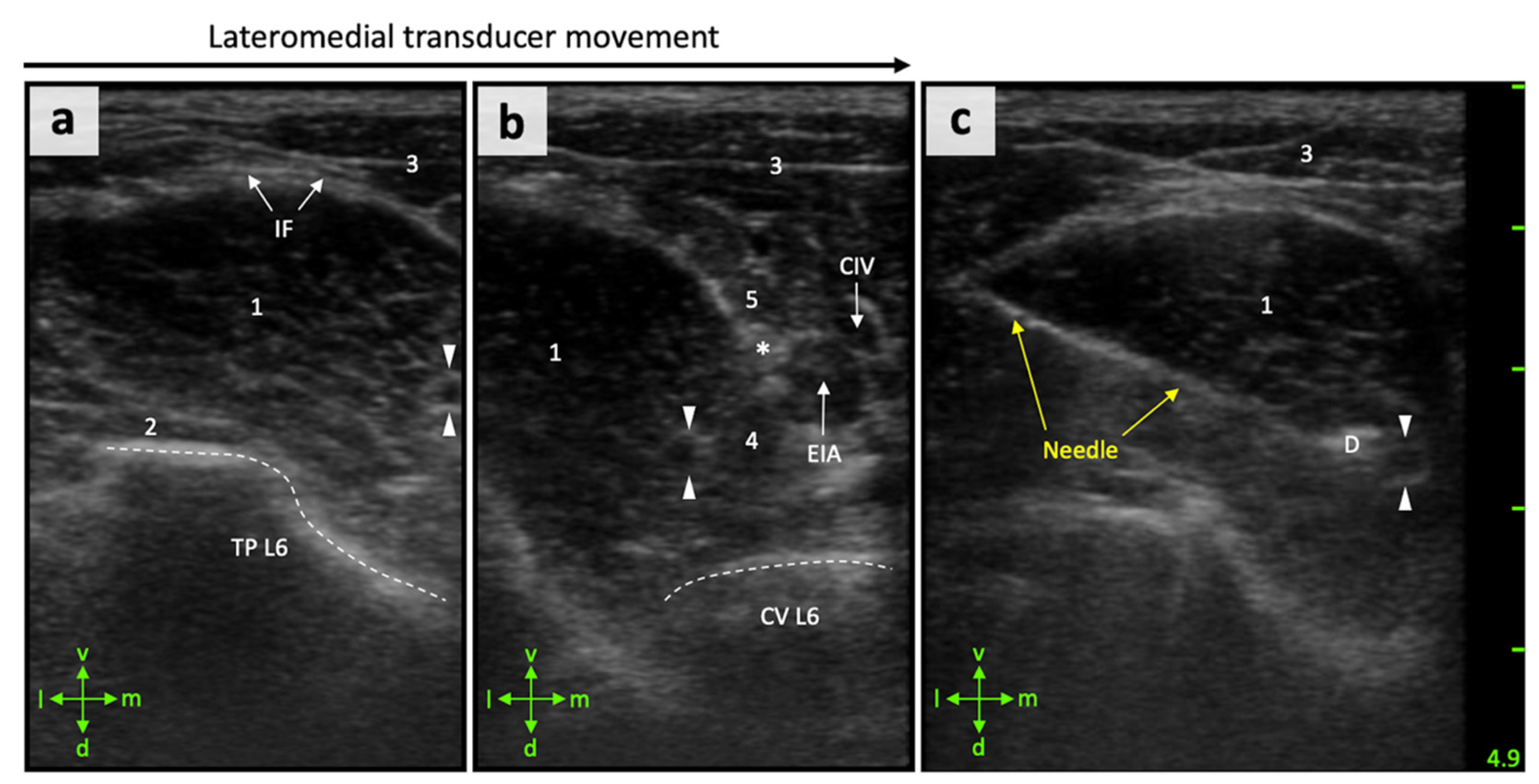 Animals 11 01759 g003