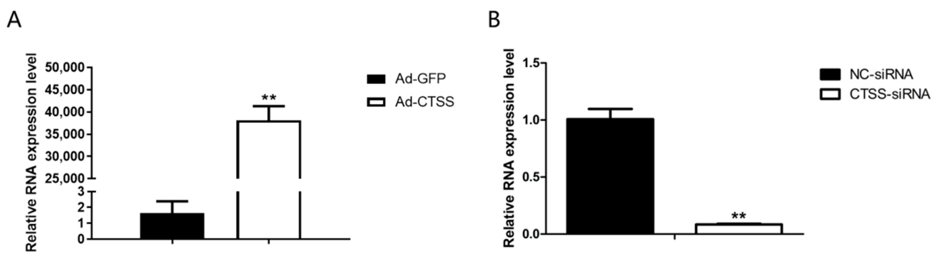 Animals 11 01770 g002