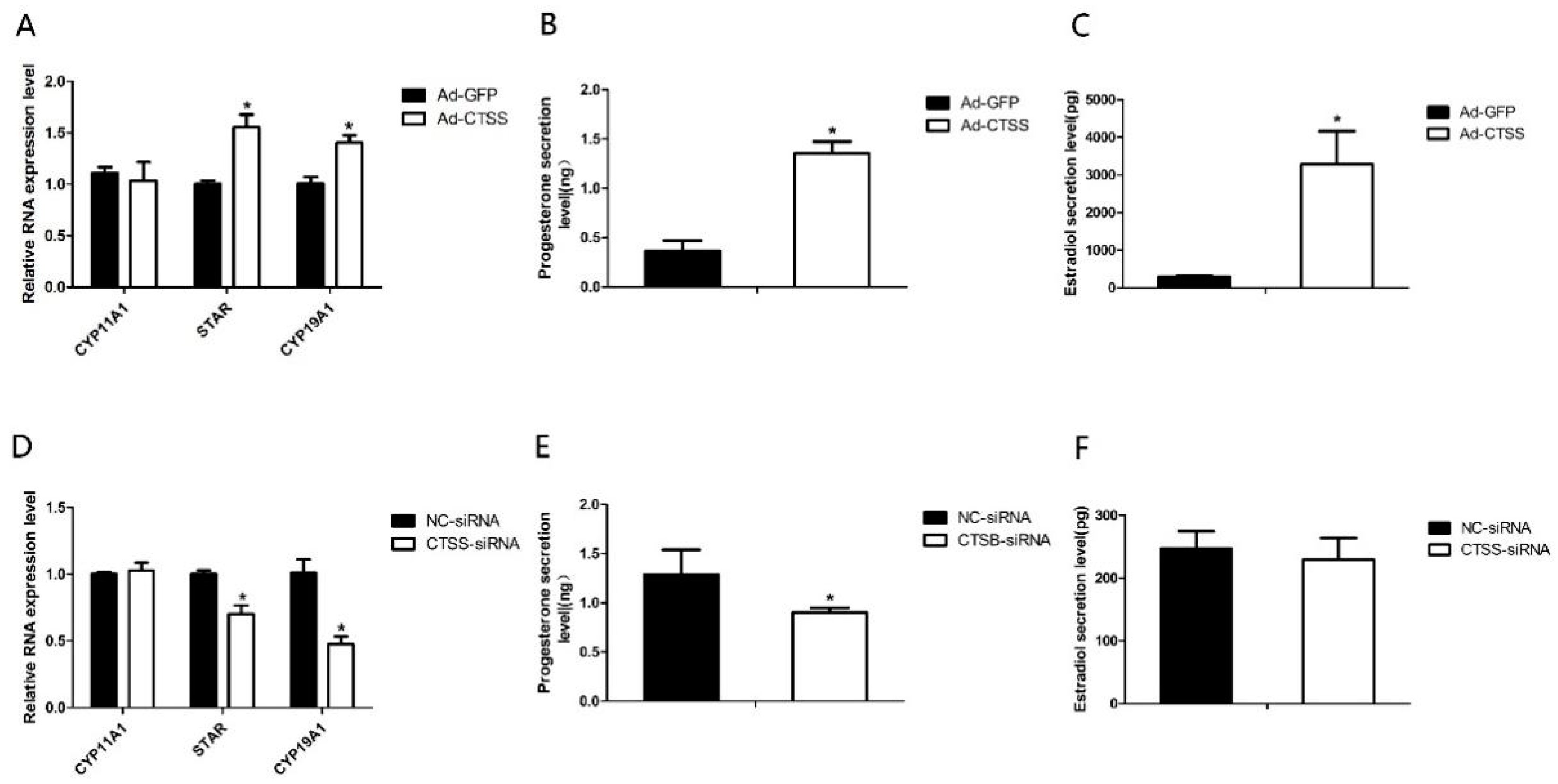 Animals 11 01770 g003