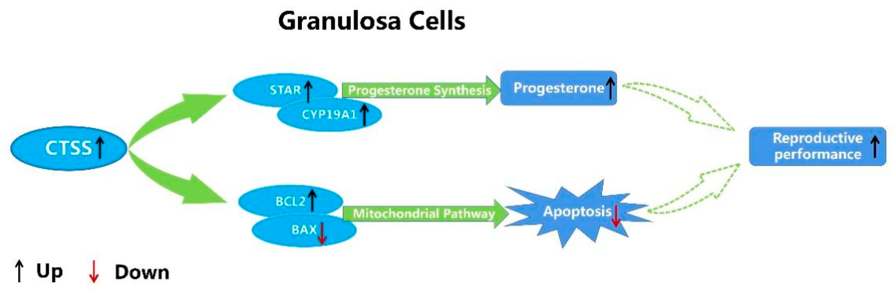 Animals 11 01770 g006