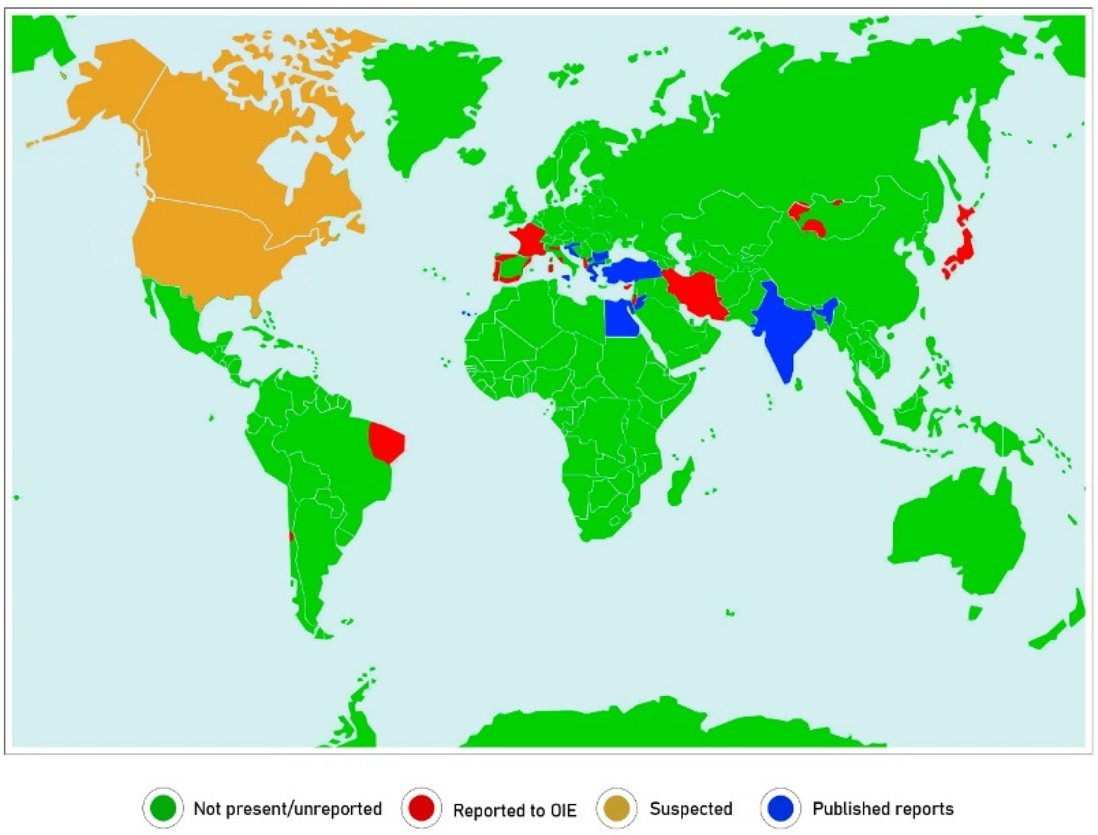 Animals 11 01782 g001