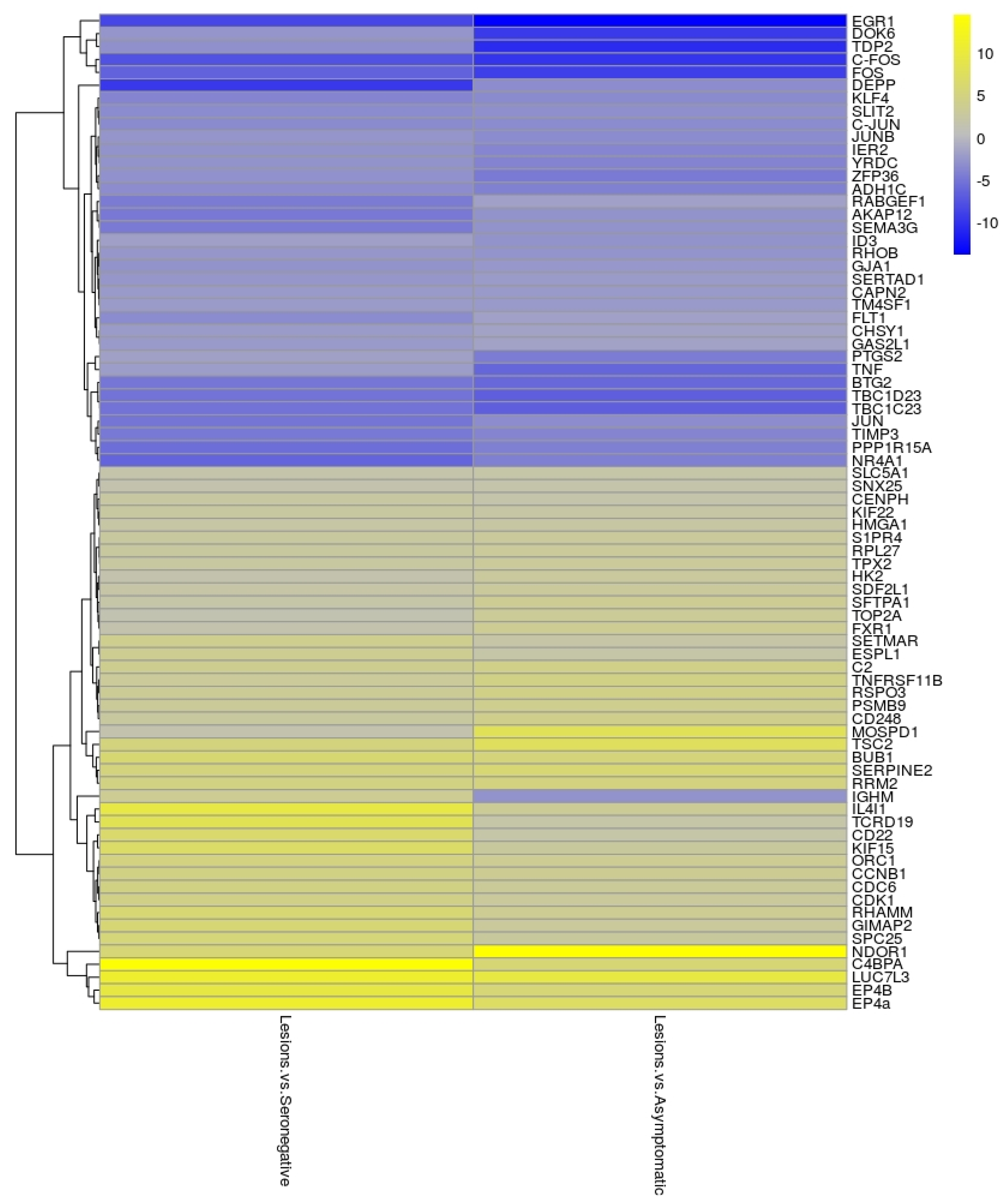 Animals 11 01785 g001 Animals 11 01785 g001