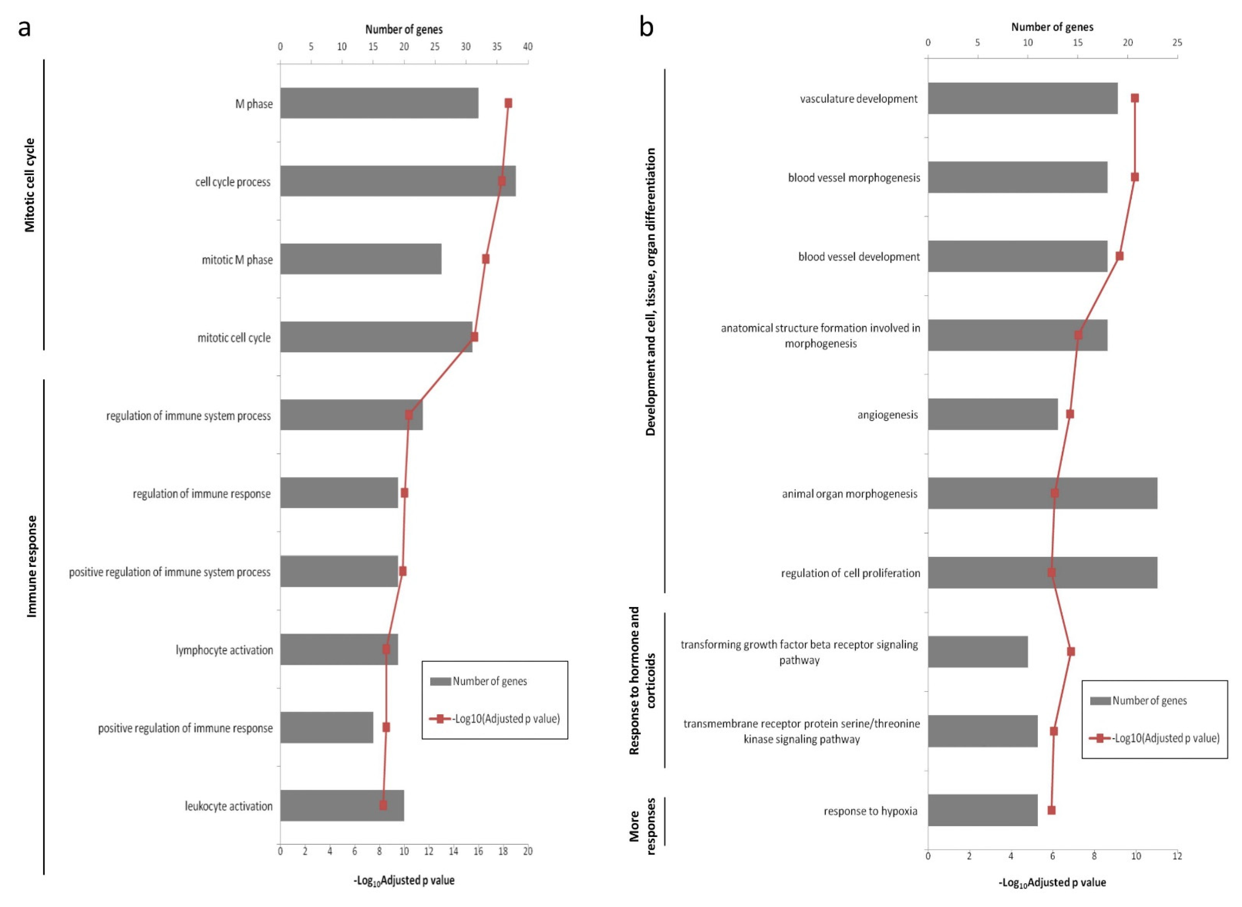 Animals 11 01785 g003 Animals 11 01785 g003