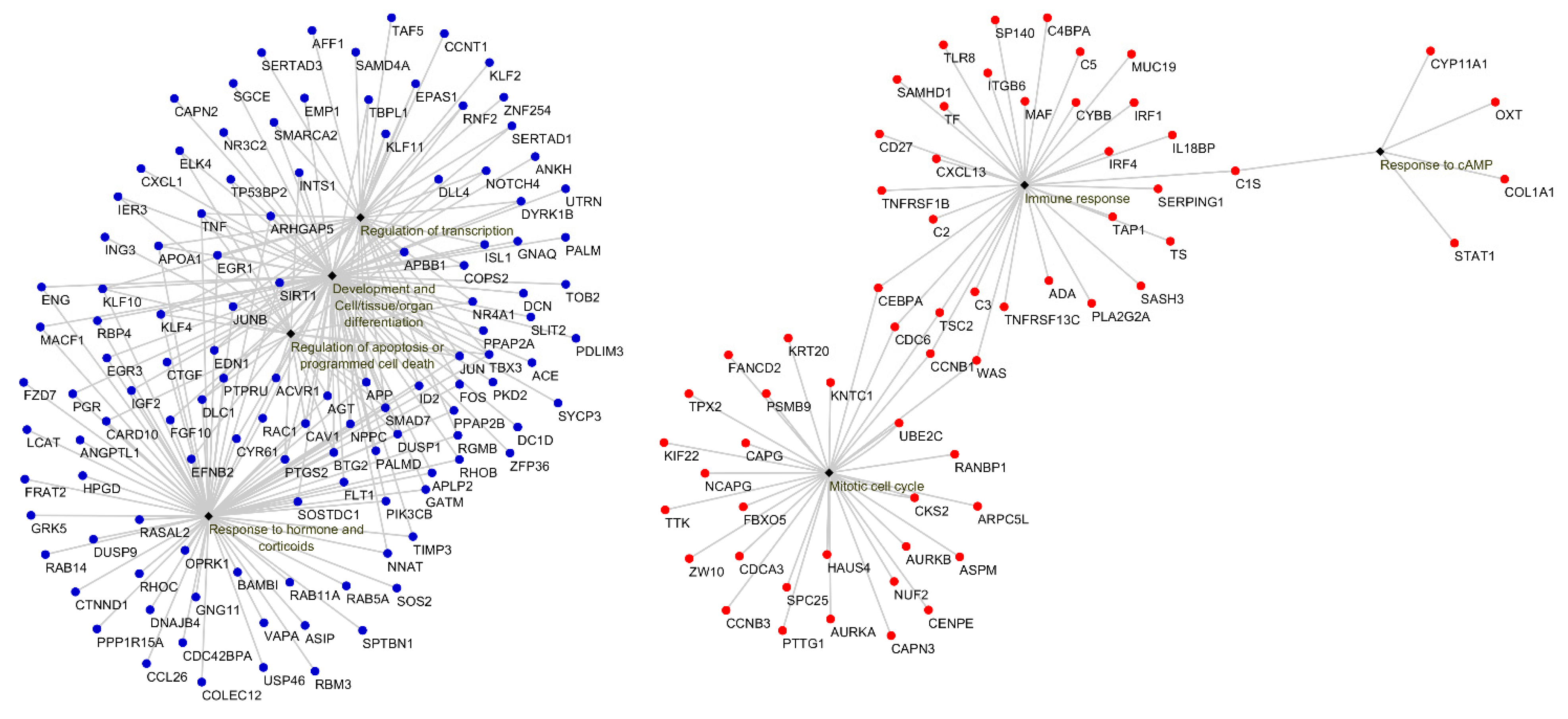 Animals 11 01785 g006 Animals 11 01785 g006