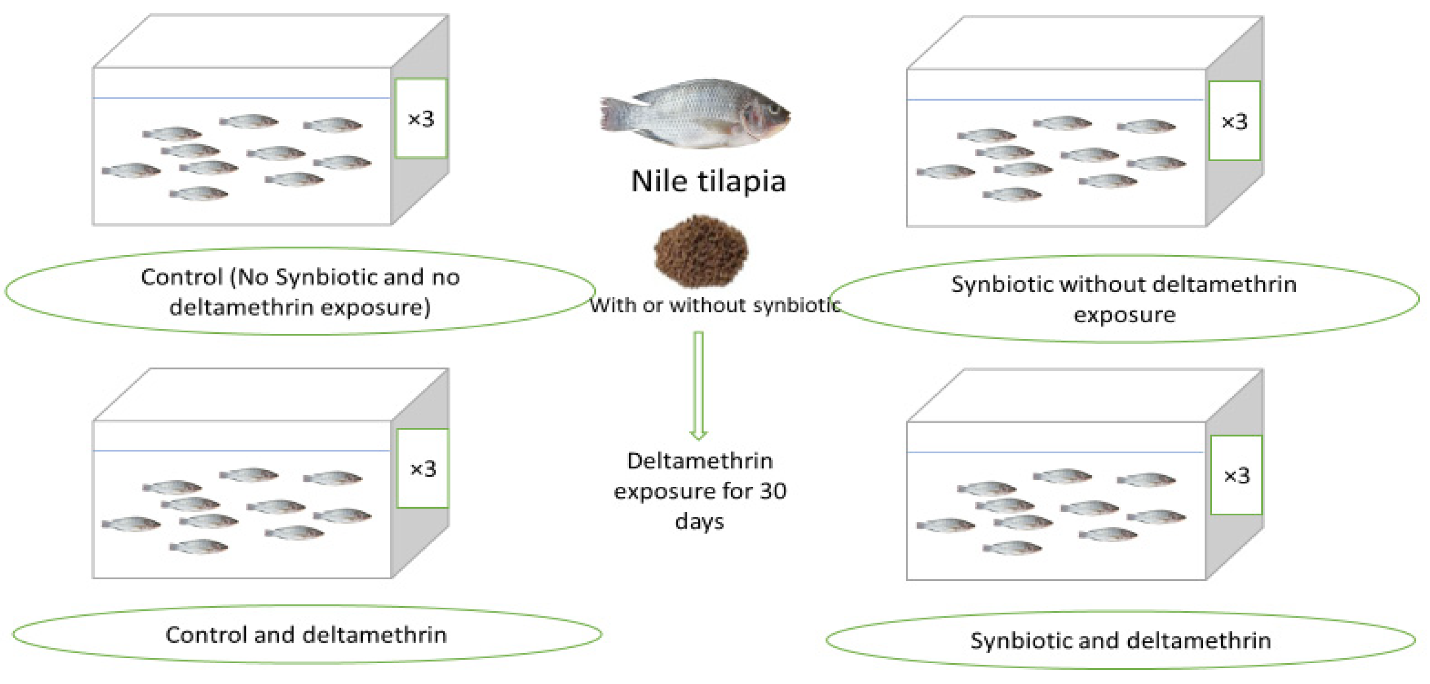 Animals 11 01790 g001