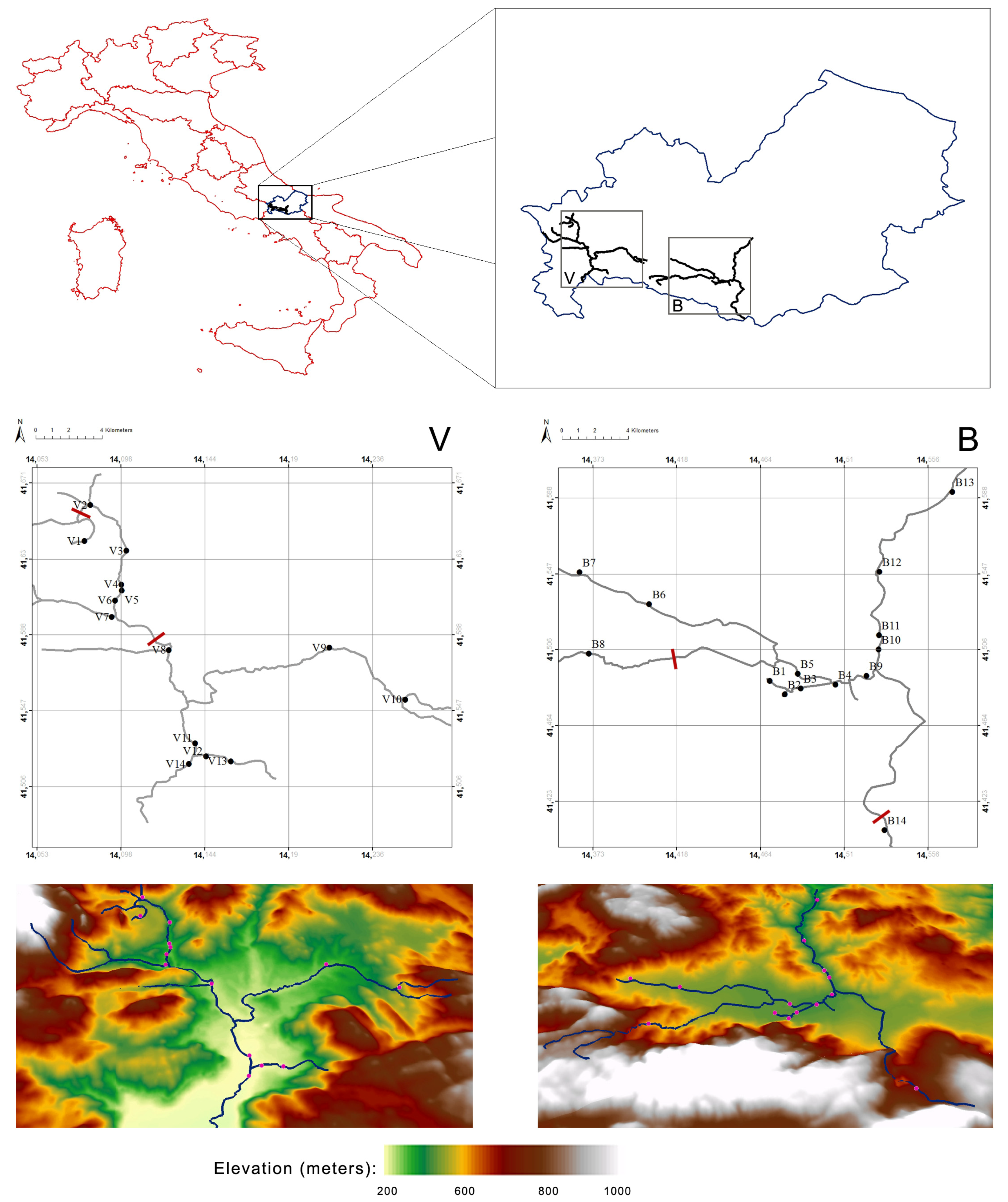 Animals 11 01803 g001 Animals 11 01803 g001