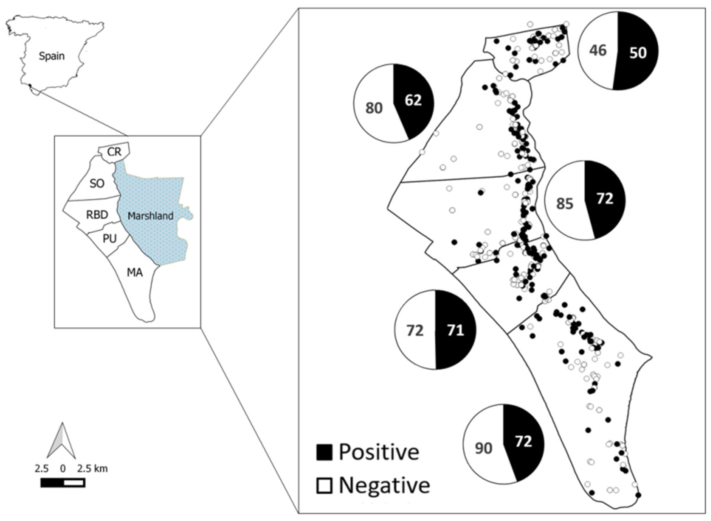 Animals 11 01805 g001 Animals 11 01805 g001