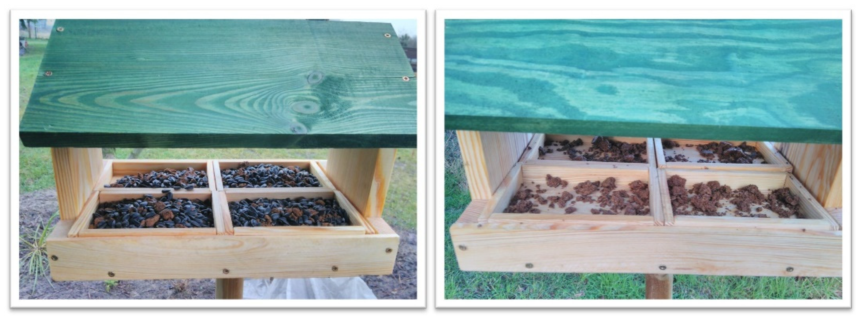 Animals 11 01831 g001